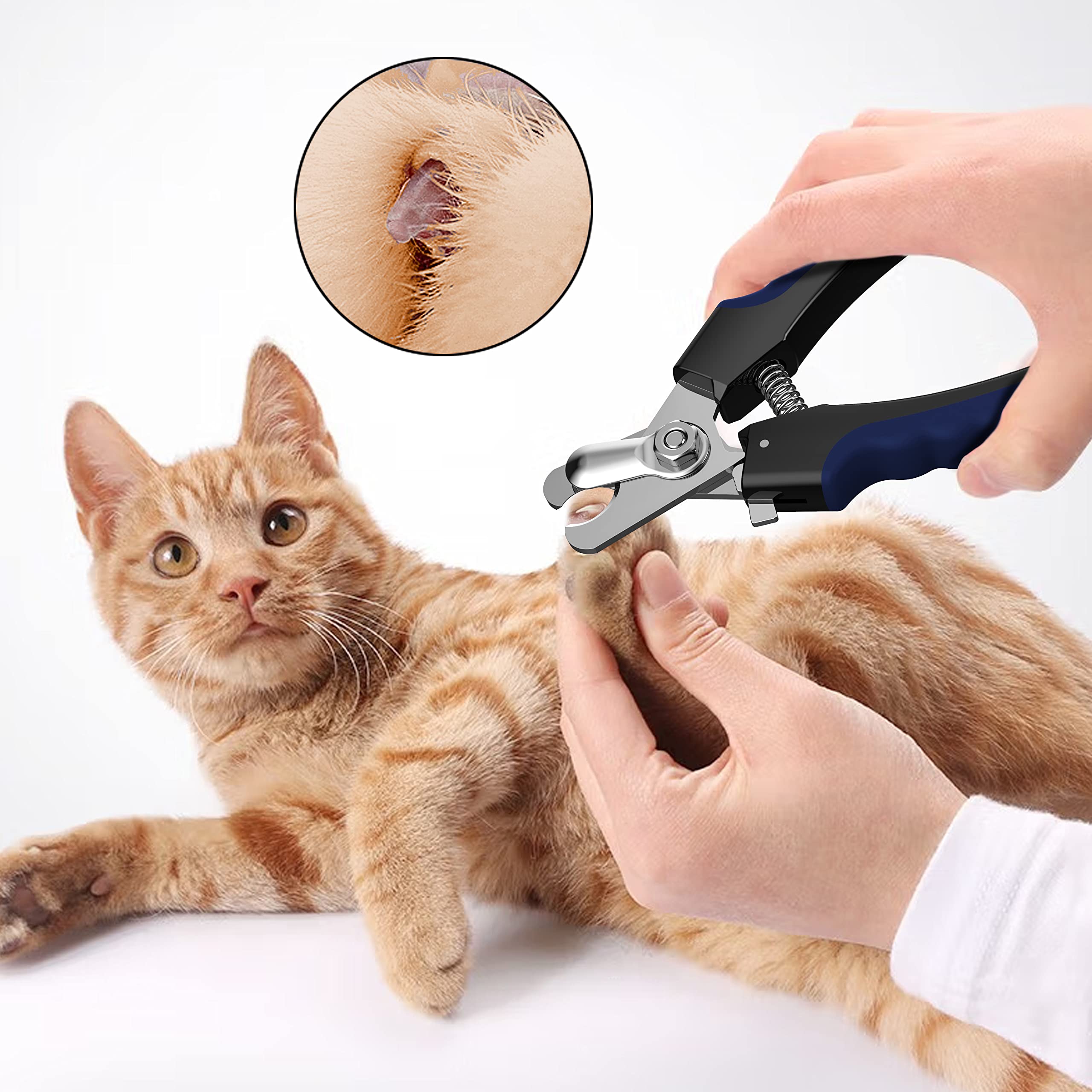 Perperqer Dog Nail Clippers - Stainless Steel Trimmers with Safety Guard for All Breeds, Navy, Model PC20230320