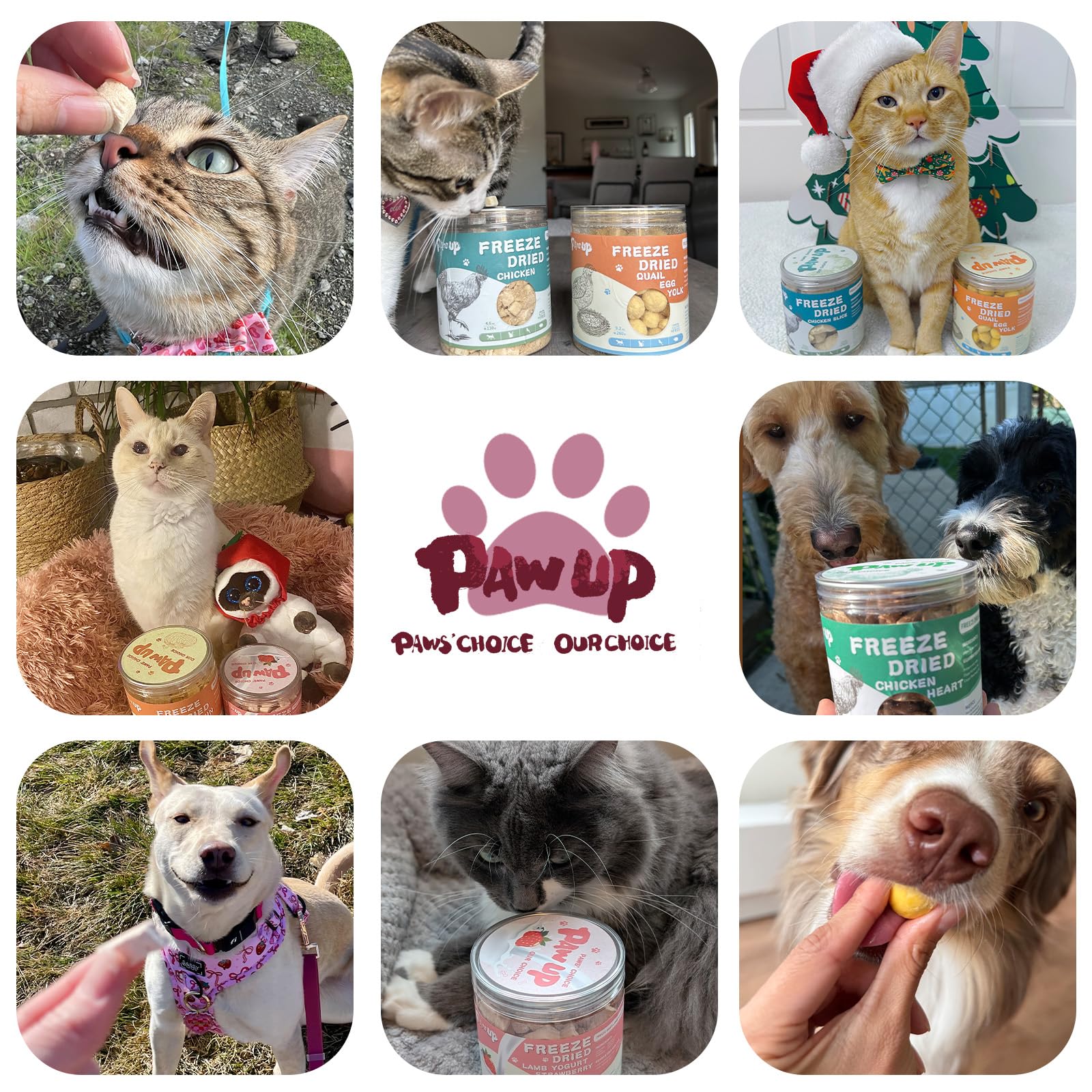 PAWUP Freeze Dried Duck Treats for Cats Dogs, Rawhide Free Freeze-Dried Raw Food Topper, High Protein, Gluten&Grain Free, 4.6oz