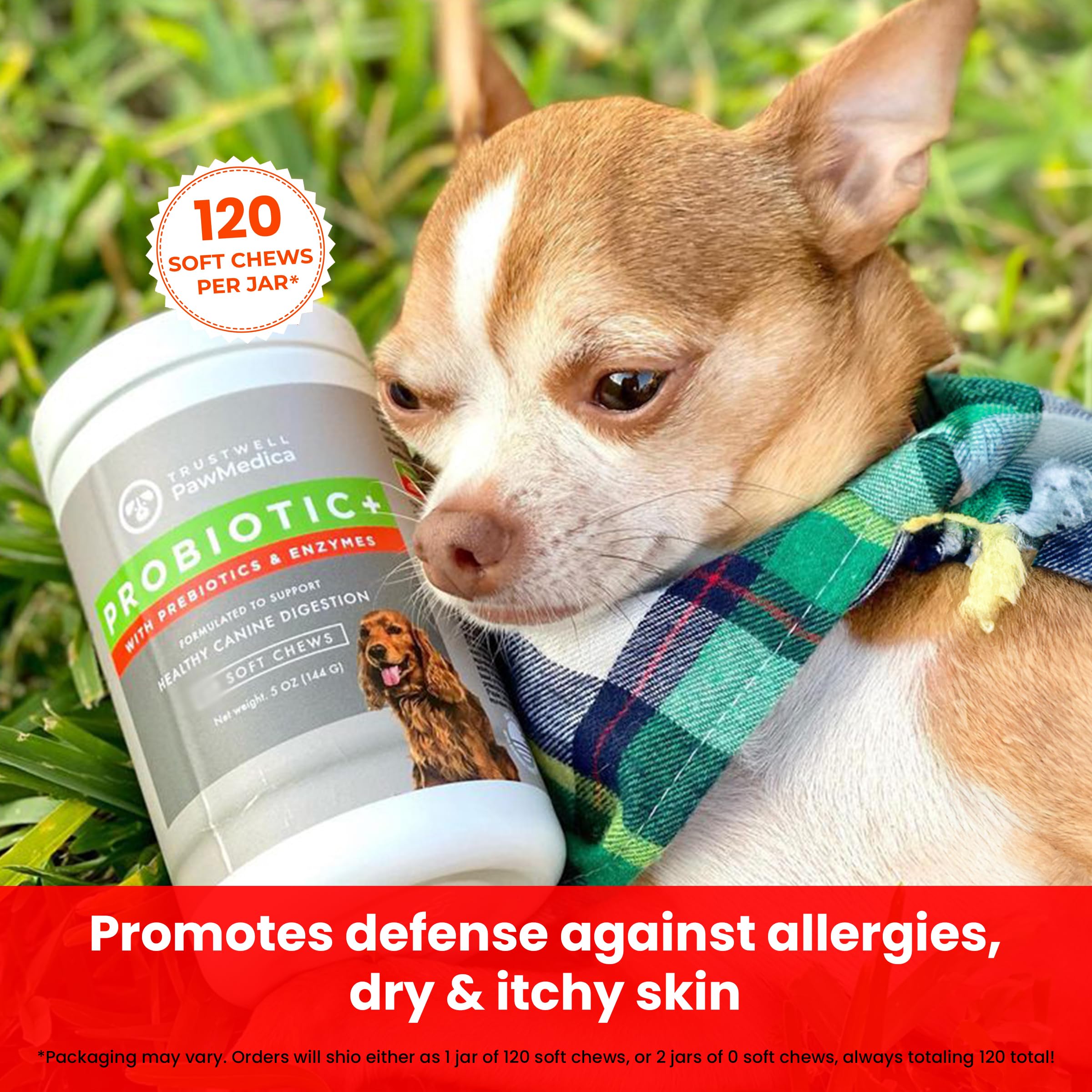 PawMedica Dog Probiotics and Digestive Enzymes, Probiotics for Dogs Made in USA, Pet Probiotic Chews for Dogs, Prebiotics & Prob