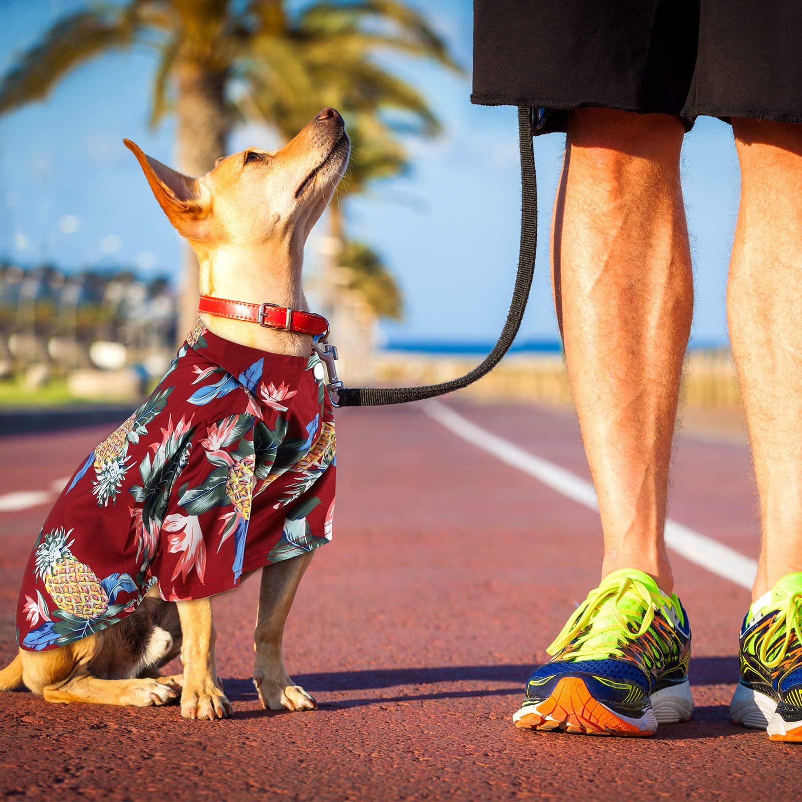 4 Pieces Summer Pet Shirts Hawaii Style Floral Dog T-Shirt Hawaiian Puppy T-Shirts Breathable Pet Cool Clothes Beach Seaside Dog Shirt Sweatshirt For Dogs Pet Puppy (Small)