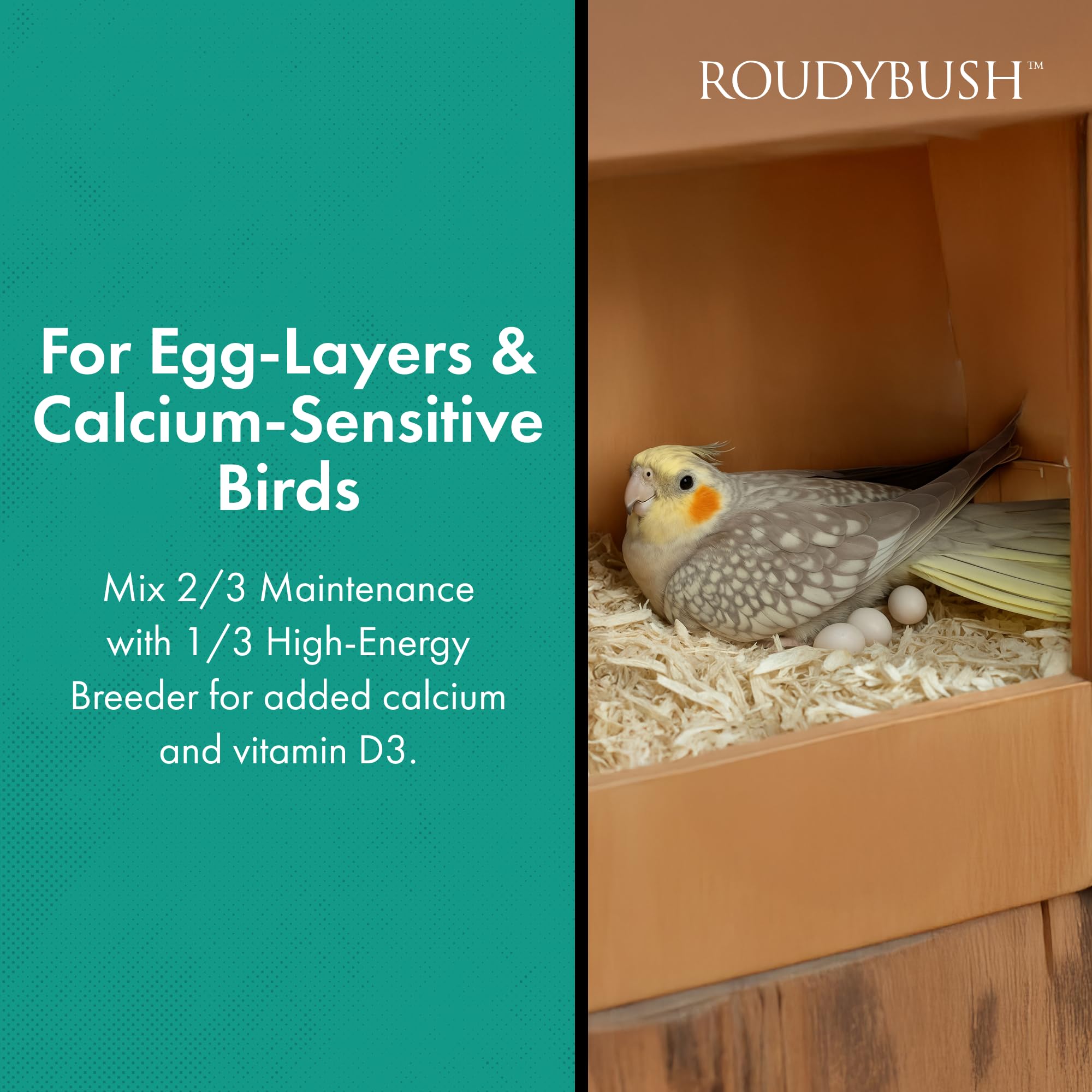 Roudybush Daily Maintenance Bird Food, Medium, 44-Ounce