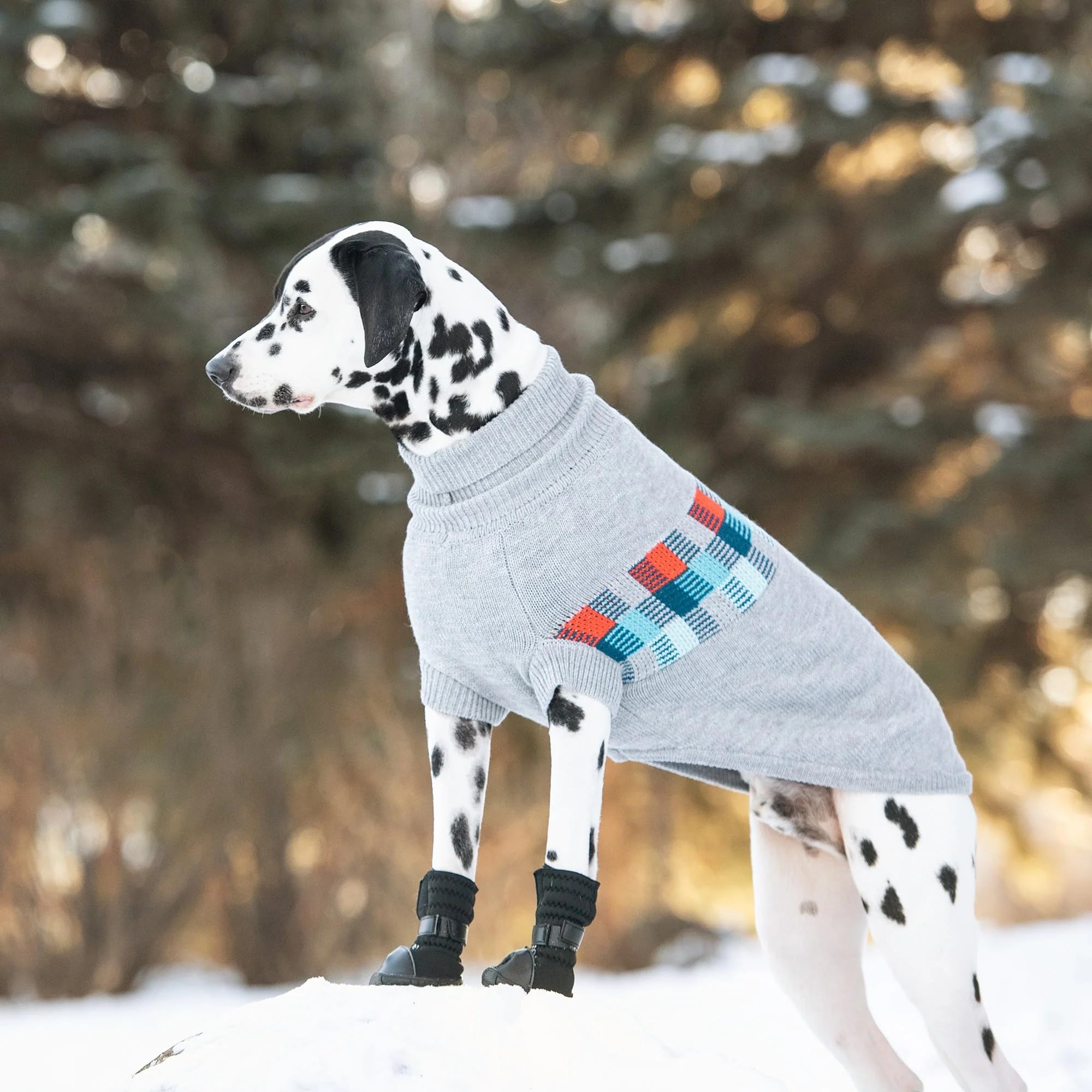 Gf Pet Grey Winter Sailor Dog Parka, Small