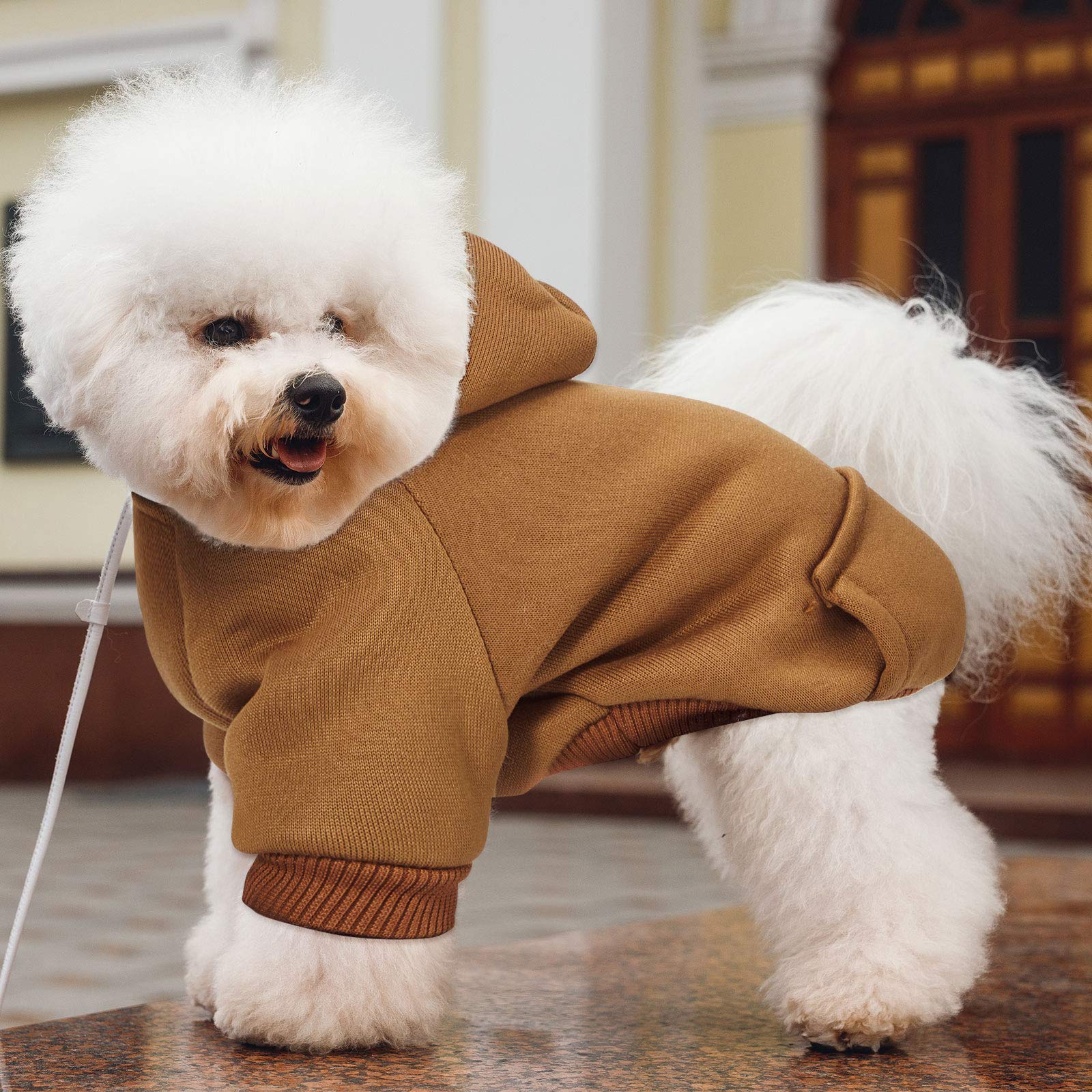 2 Pieces Winter Dog Hoodie Warm Small Dog Sweatshirts with Pocket Cotton Coat for Chihuahua Clothes Puppy Costume(M,Orange, Brow