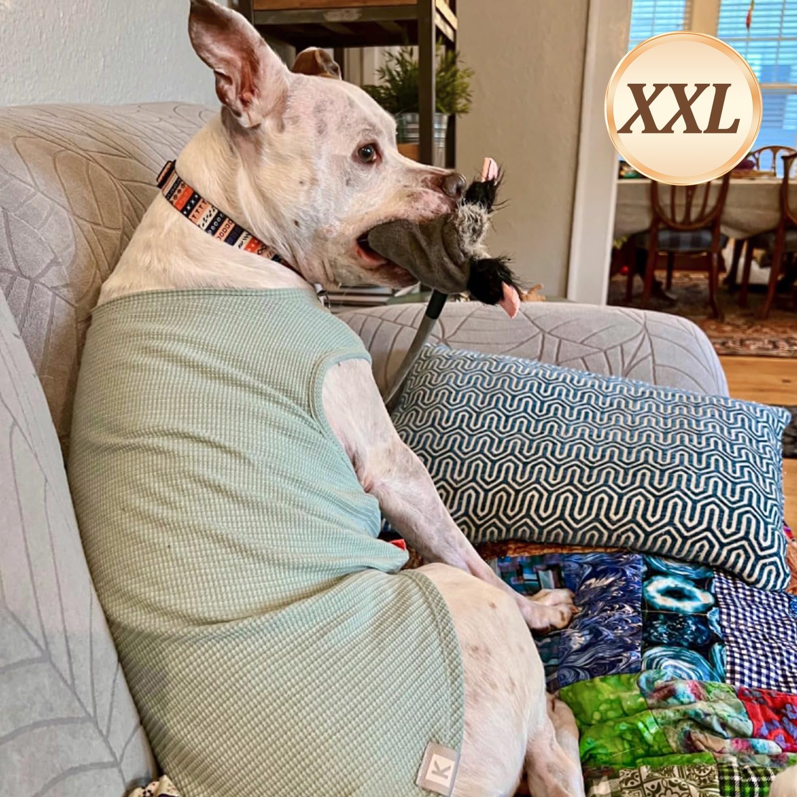 Kyeese 2Pack Waffle Dog Shirts Stretchy T-Shirts Lightweight Tank Top Sleeveless Striped Shirt Vest Breathable, Xx-Large, Green+
