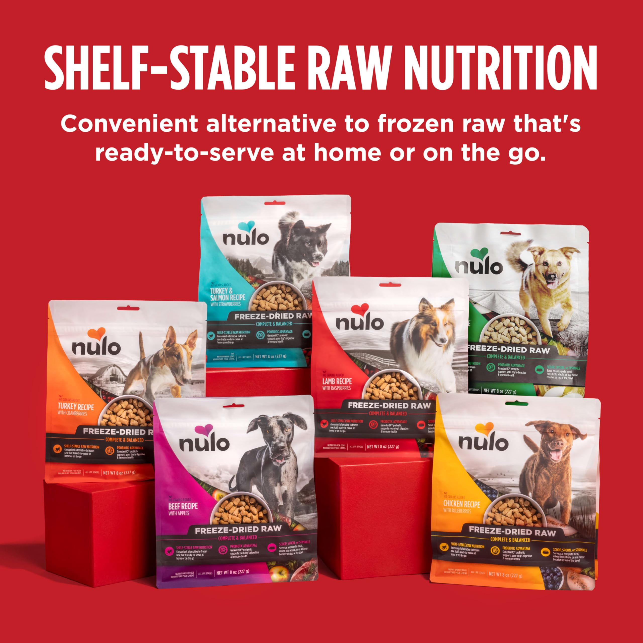 Nulo Freeze-Dried Raw Turkey & Salmon Recipe with Apples Complete and Balanced Dry Dog Food Kibble, 8 Ounce Bag