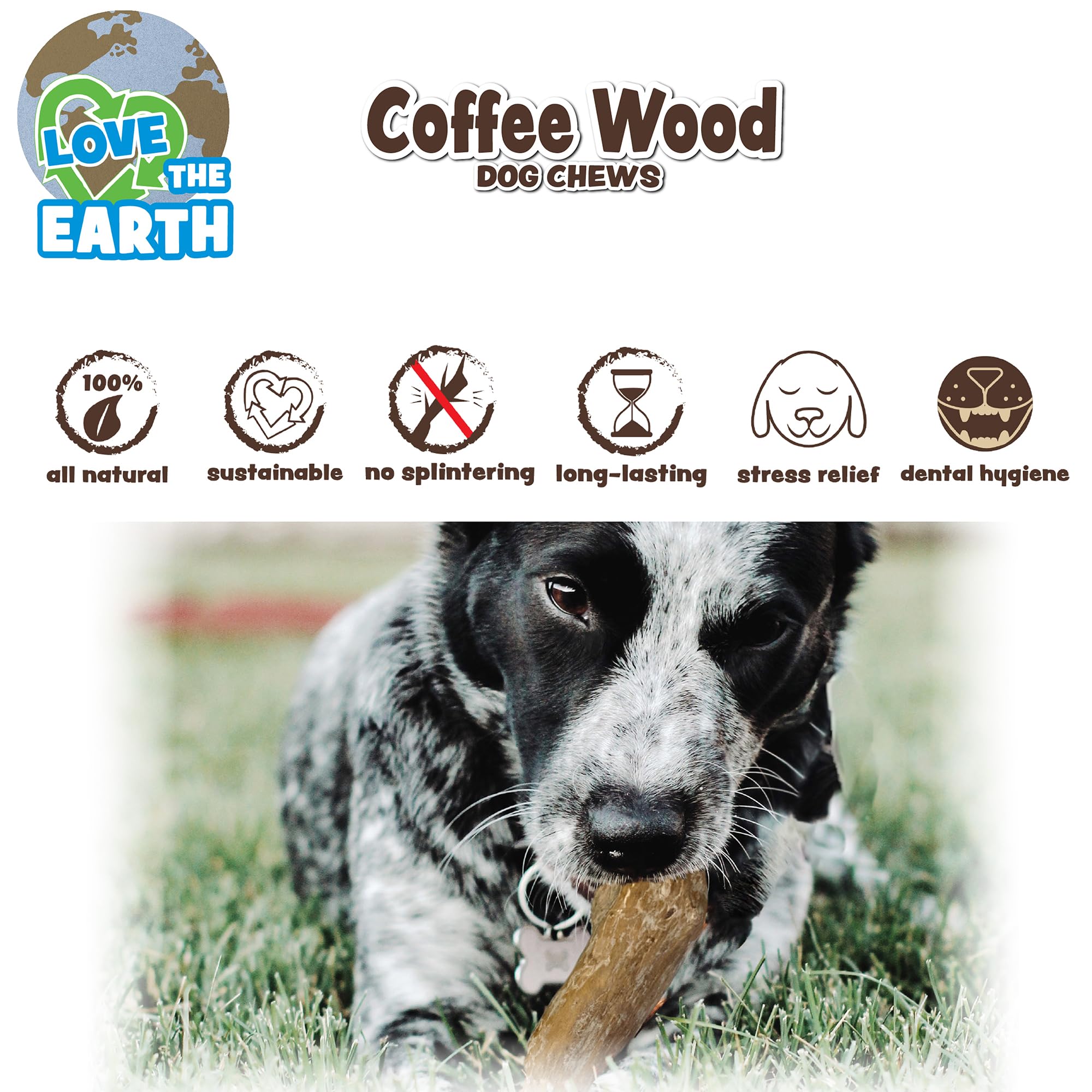 Spot Coffee Wood Dog Chew Toy ?100% Natural & Sustainably Sourced Non-Splintering Wood From Coffee Plants, Long Lasting, Durable Toy For Aggressive Chewers, For Small Dogs And Puppies Up To 22Lbs