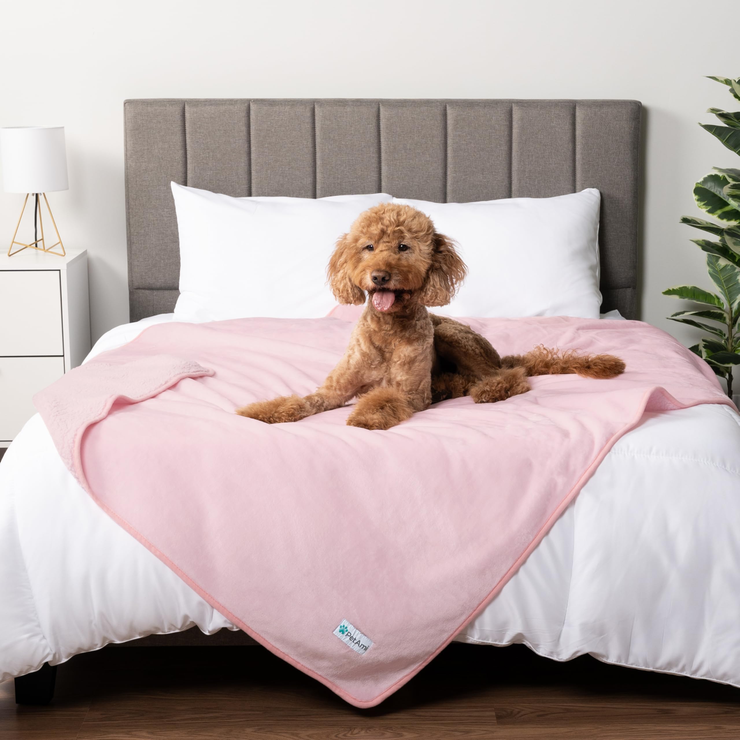 Petami Waterproof Dog Blanket For Medium Large Dogs, Pee Proof Pet Blanket For Bed Couch, Reversible Water Proof Blanket For Puppy Indoor Cat, Soft Dog Pee Crate Cover Washable, 60X80 Pink