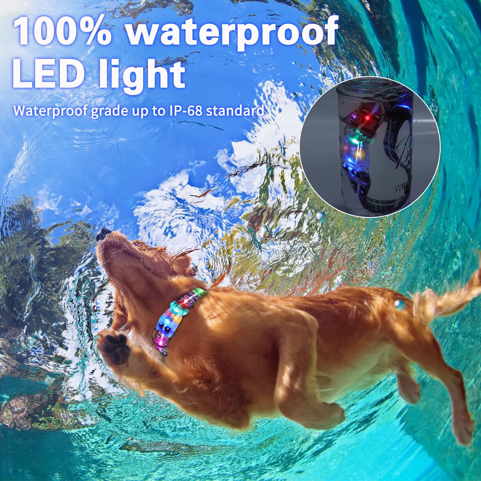 Yushang Light Up Dog Collars,Led Dog Collar Rechargeable Waterproof,2-In-1 Buckle Type Glow Collar For Medium Large Dogs -Xl(Siz