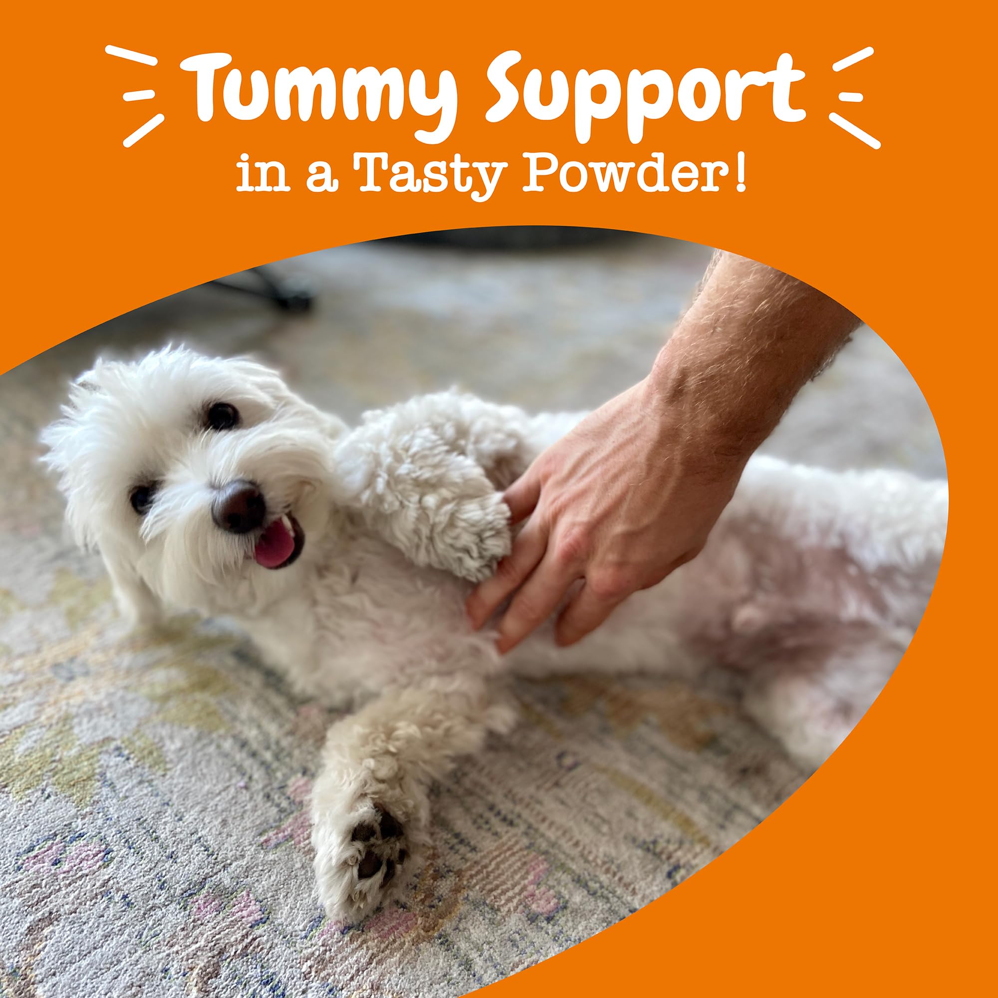 Zesty Paws Probiotics for Dogs - Powder Meal Topper for Digestive, Immune System Support - Premium DE111 Dog Probiotics for Dige