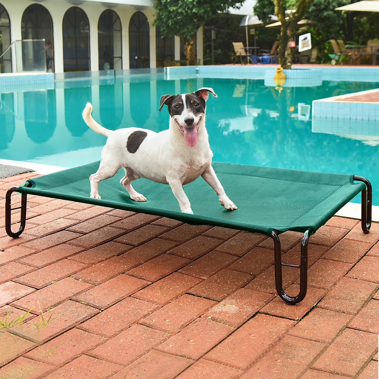 Pettycare Elevated Outdoor Dog Bed - Dog Cots Beds For Small Dogs, Waterproof Raised Dog Bed Easy To Assemble, Cooling Elevated Dog Bed With Teslin Mesh, Durable, Non Slip, Up To 35 Lbs,Green