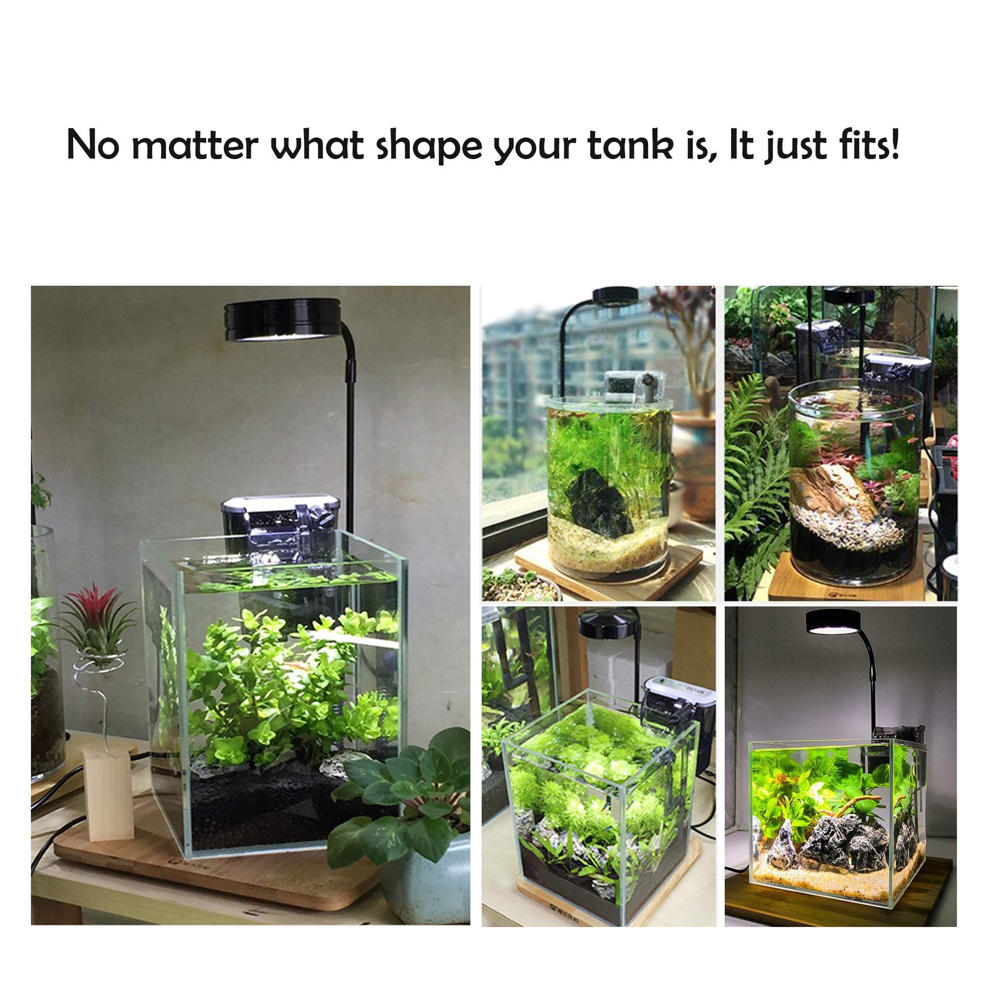 Hiro Aquatics Height Adjustable Full Spectrum Nano Led Light, Fits Nano Tanks, Wabi Kusa, Potted Plants, Betta Tanks