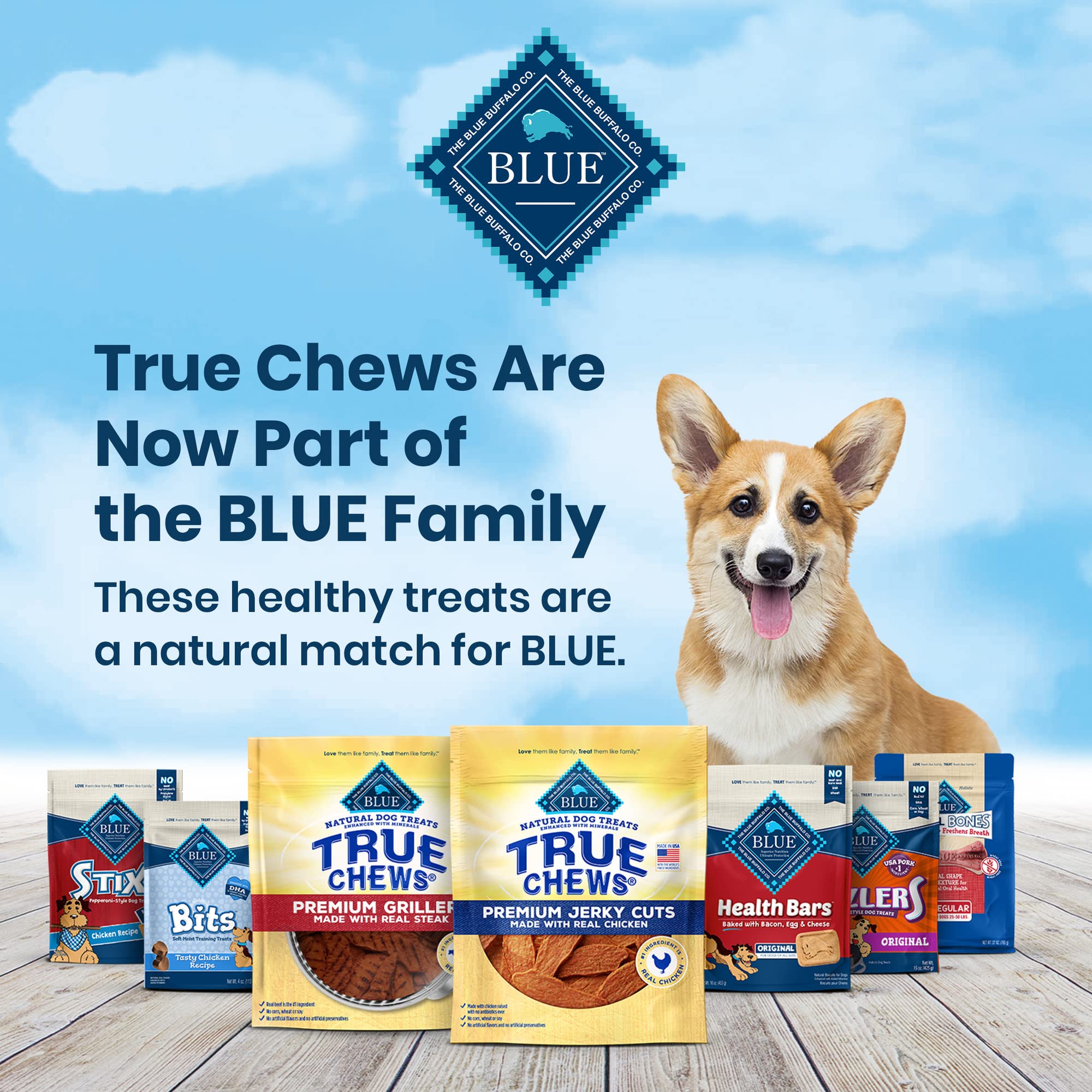 Blue Buffalo True Chews Premium Grillers Natural Dog Treats, Steak 20 oz bag