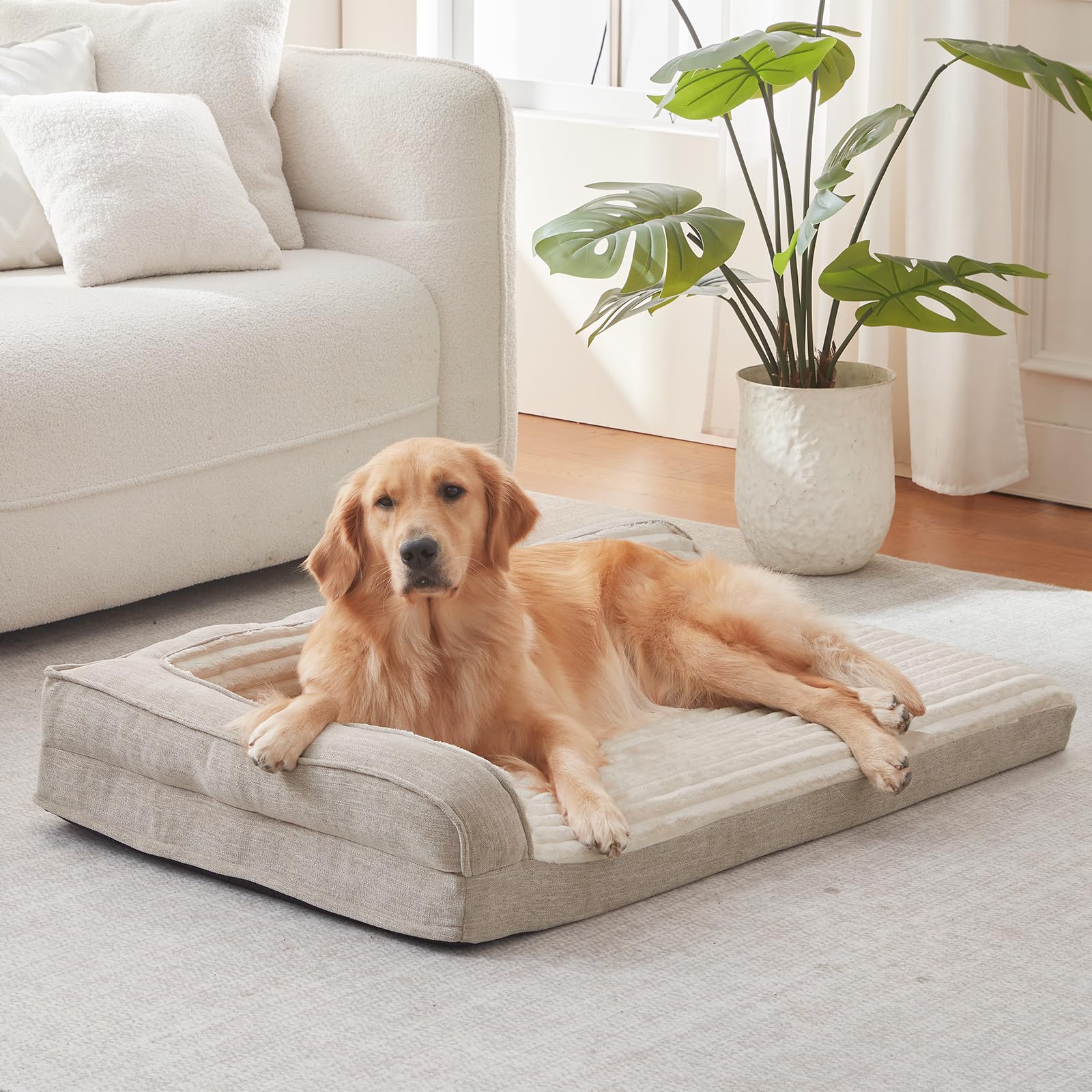 WINDRACING Orthopedic Dog Beds for Medium Dogs, Waterproof Egg Foam Dog Sofa Bed with L Bolster Sides, Washable Medium Pet Bed w