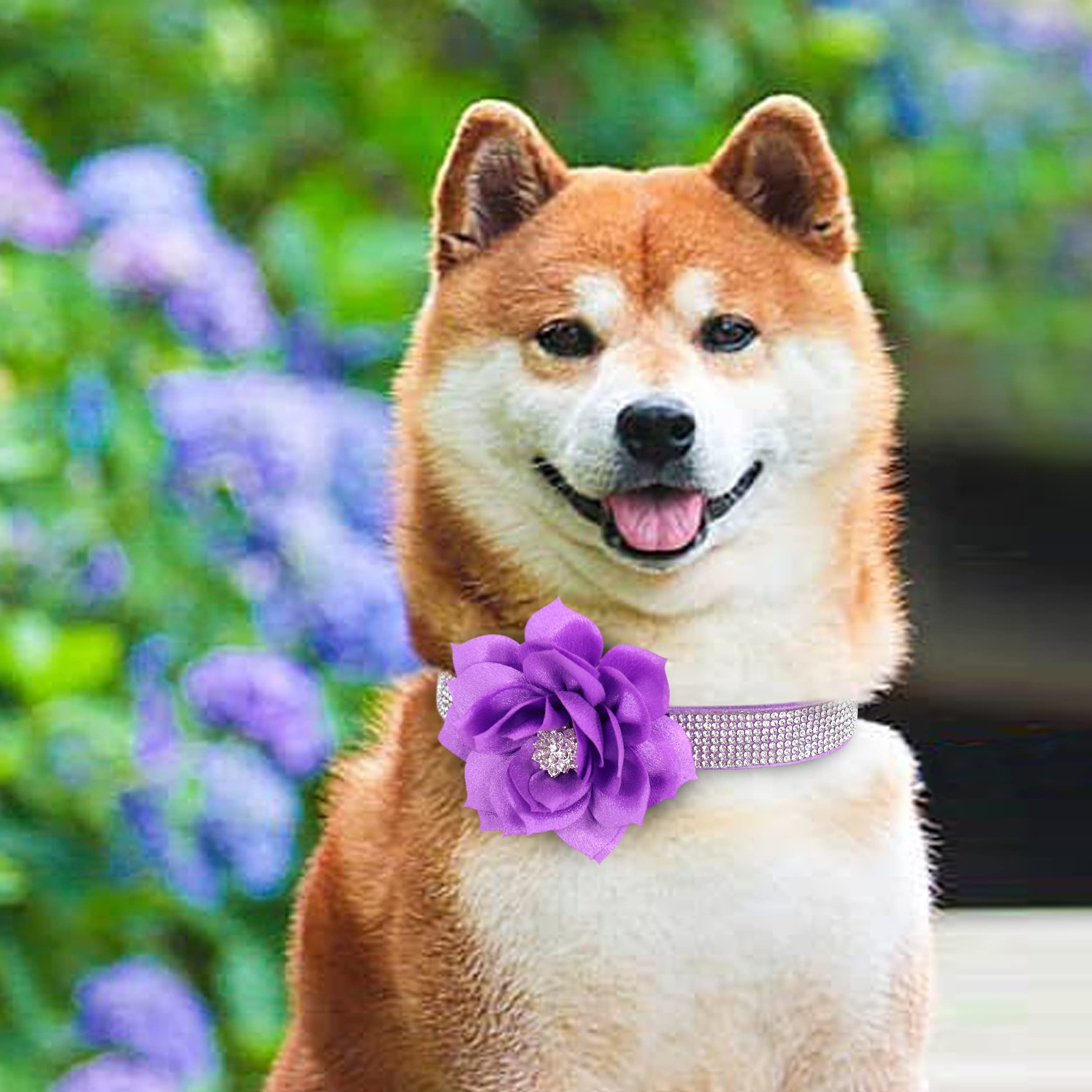 Pet Artist Cute Girl Rhinestone Suede Dog Collars For Small Dogs Cats,Soft Flower Dog Collar,Bling Dog Collars For Small Puppy Dogs Purple Collar, M:Neck 12-14.5'(31-37Cm)