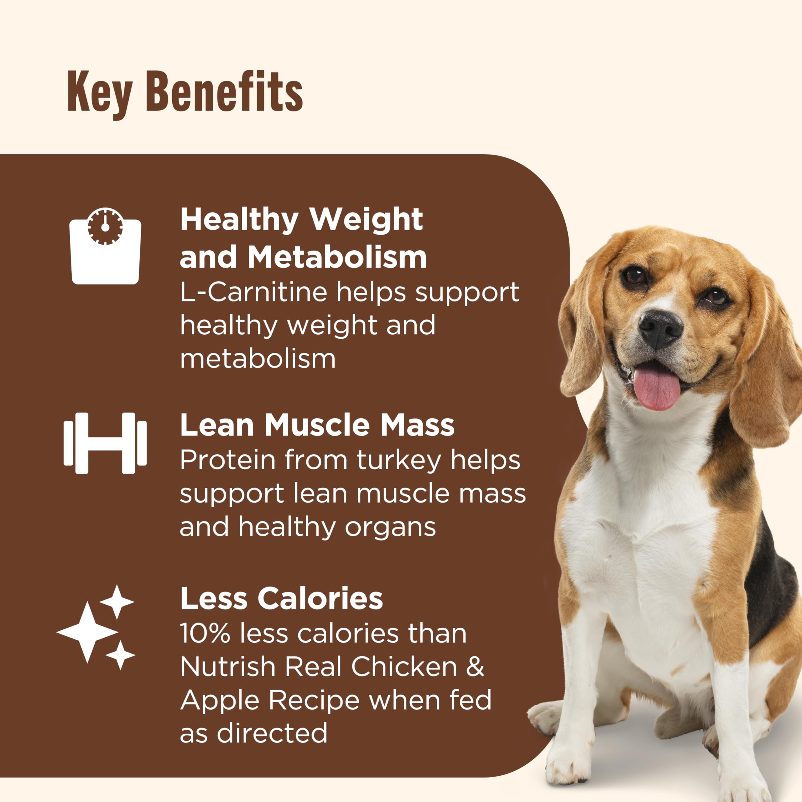 Rachael Ray Nutrish Weight Management Wet Dog Food, Real Turkey & Pumpkin, 13 Ounce Can (Pack of 12)