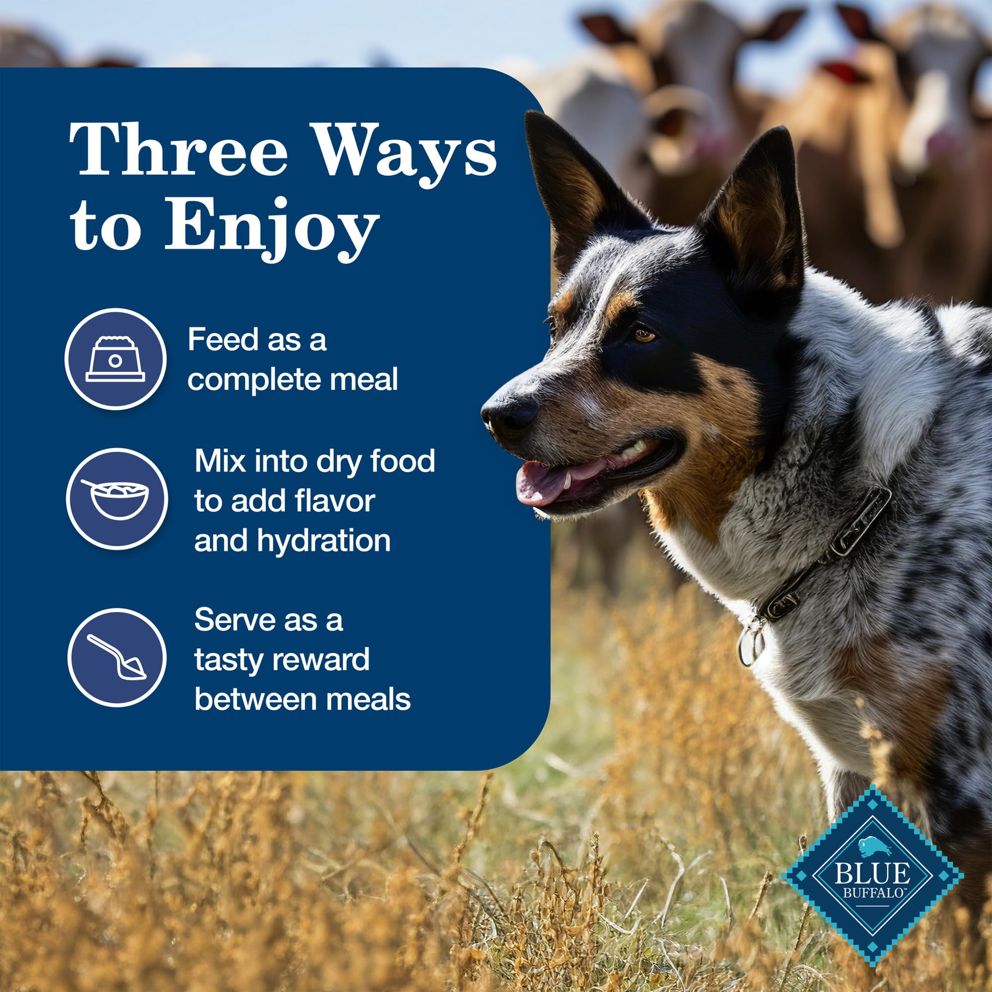 Blue Buffalo Homestyle Recipe Adult Wet Dog Food, Made with Natural Ingredients, Chicken Dinner With Garden Vegetables, 12.5-oz