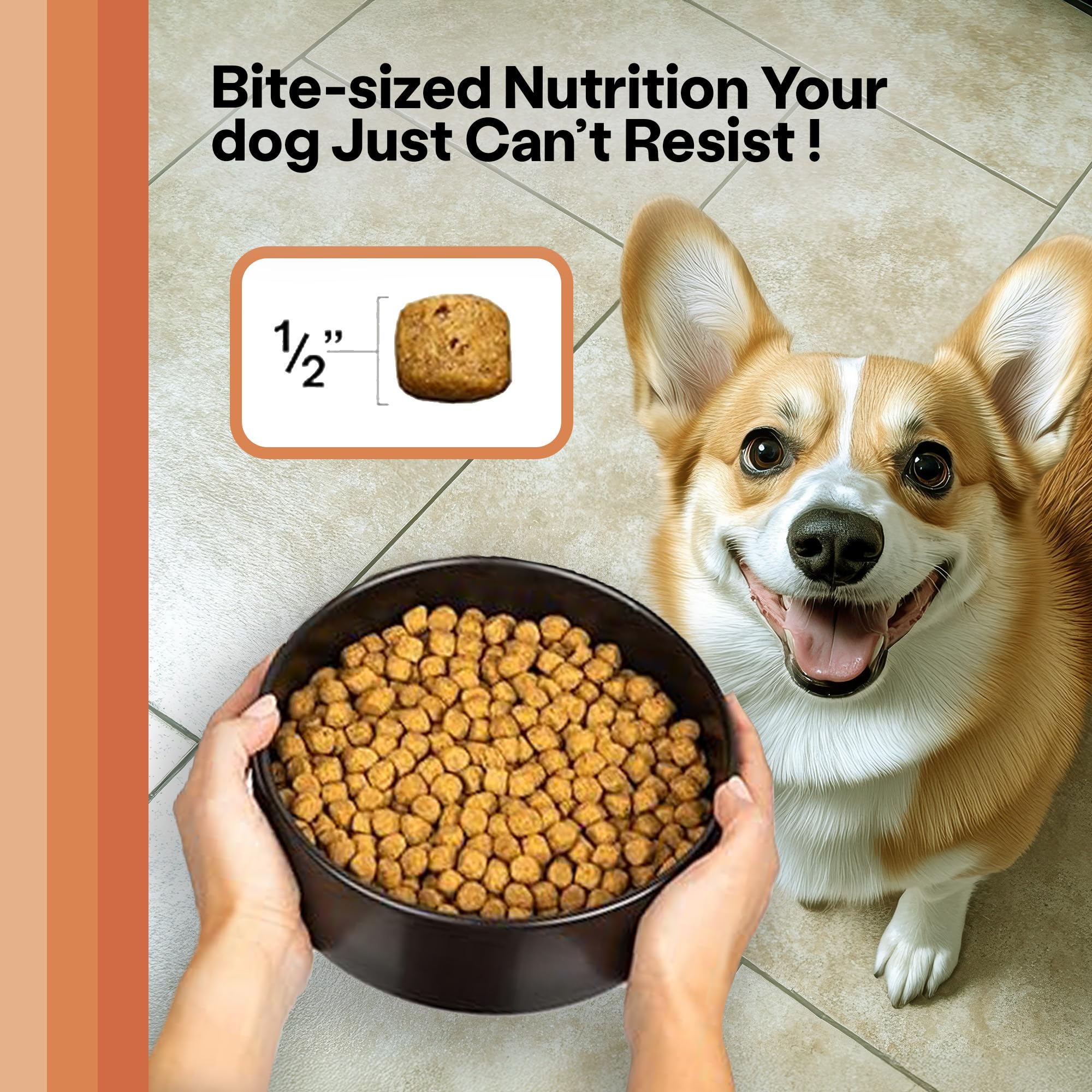 Wild Earth Vegan Dry Dog Food | Plant-Based Maintenance Formula | Vegetarian, Allergy Relief, Veterinarian-Developed for Complet