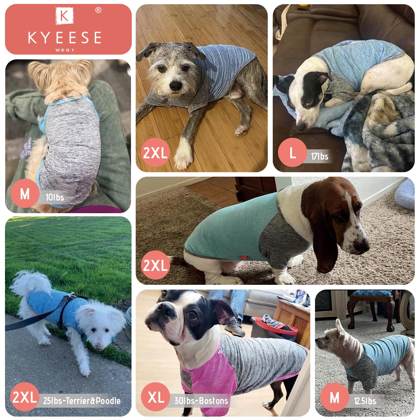 Kyeese 2 Pack Dog Shirts Quick Dry Breathable Lightweight Stretchy Dog T-Shirt With Reflective Label Raglan Sleeve Pet Clothes F