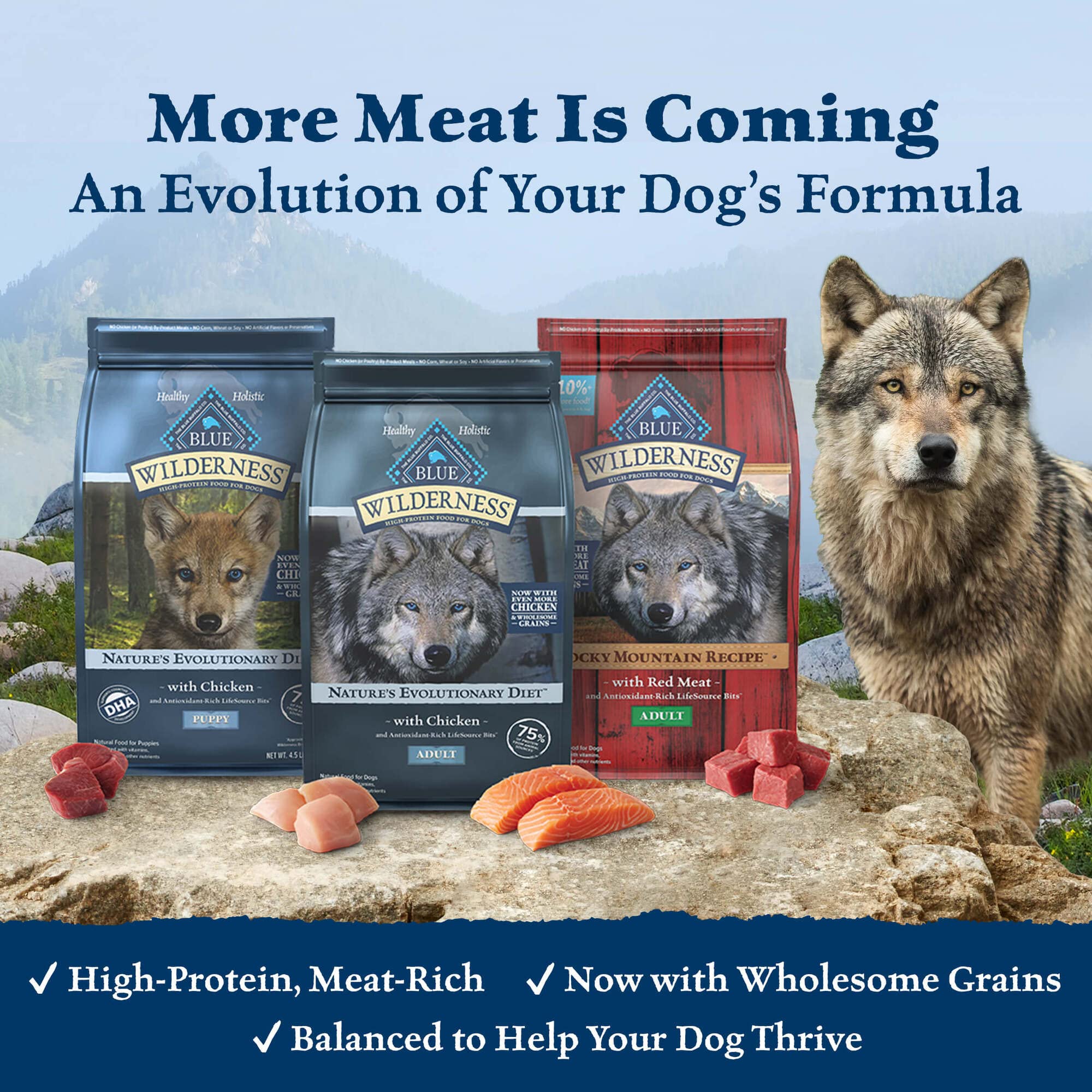 Blue Buffalo Wilderness High Protein, Natural Puppy Dry Dog Food, Chicken 11-lb