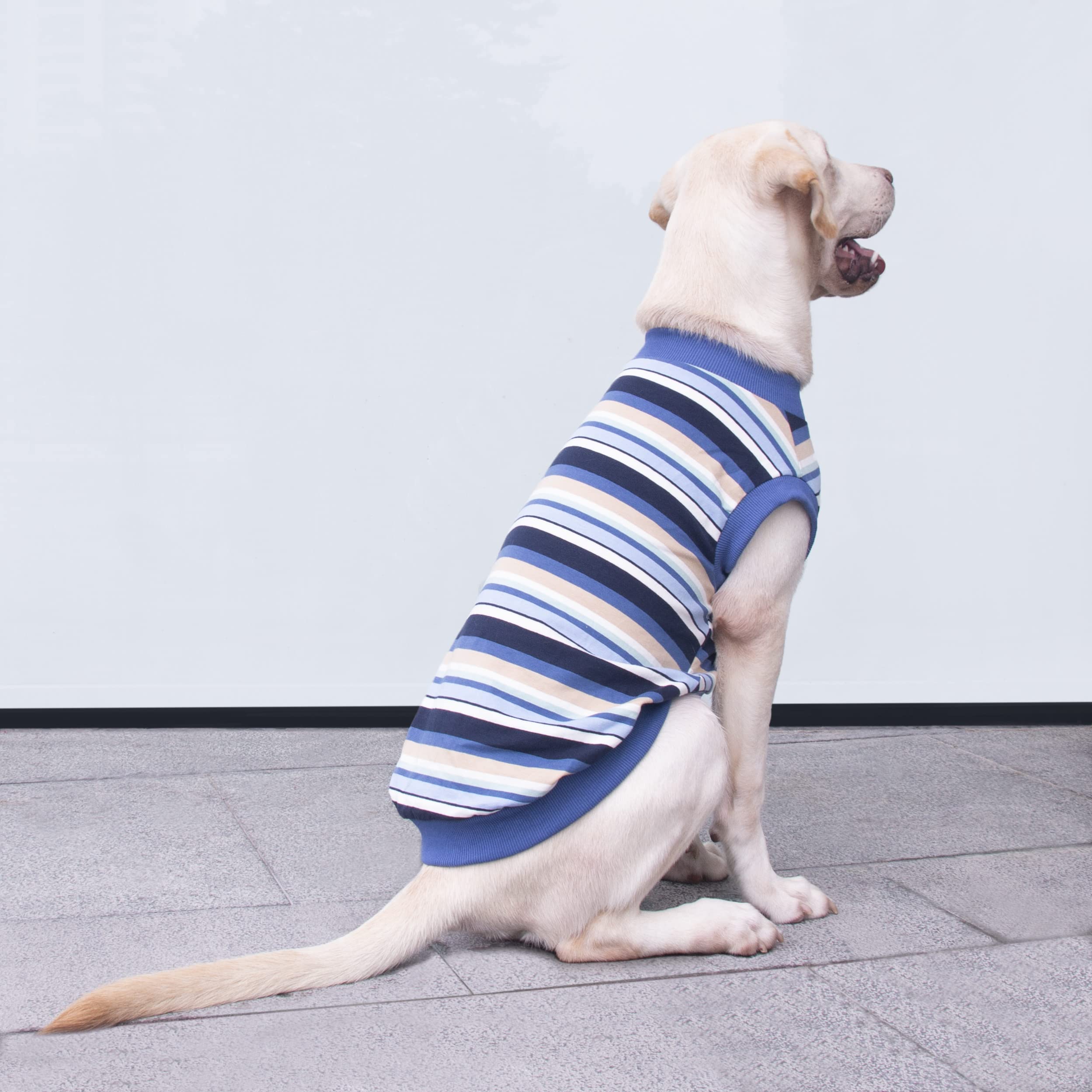 Arunners Extra Large Dog T Shirts Clothes Sleeveless Tank Top Vest For Labrador Rottweiler Great Dane, Blue, 3X-Large