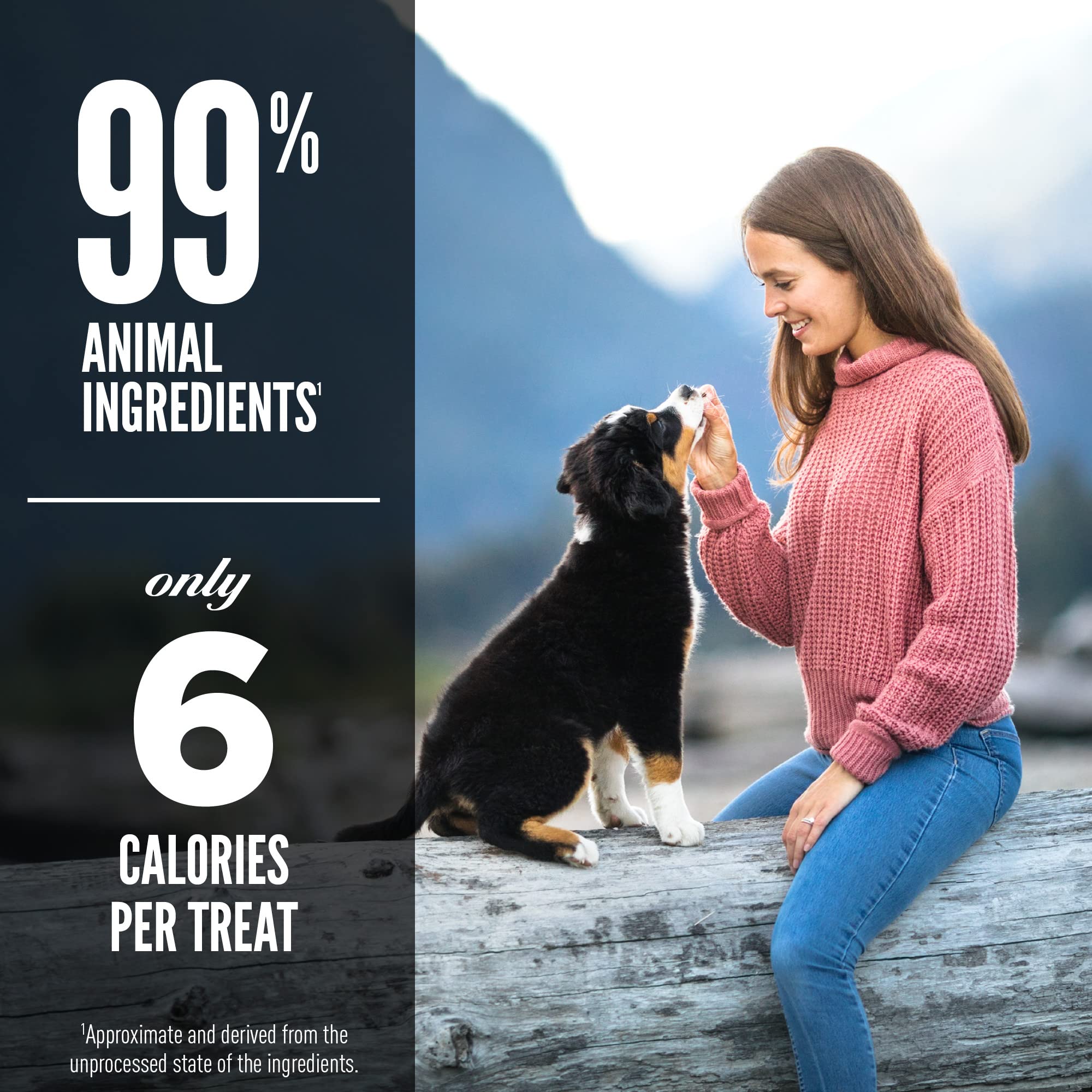 ORIJEN Freeze Dried Lamb Recipe Dog Treats, WholePrey Ingredients, 3.25oz