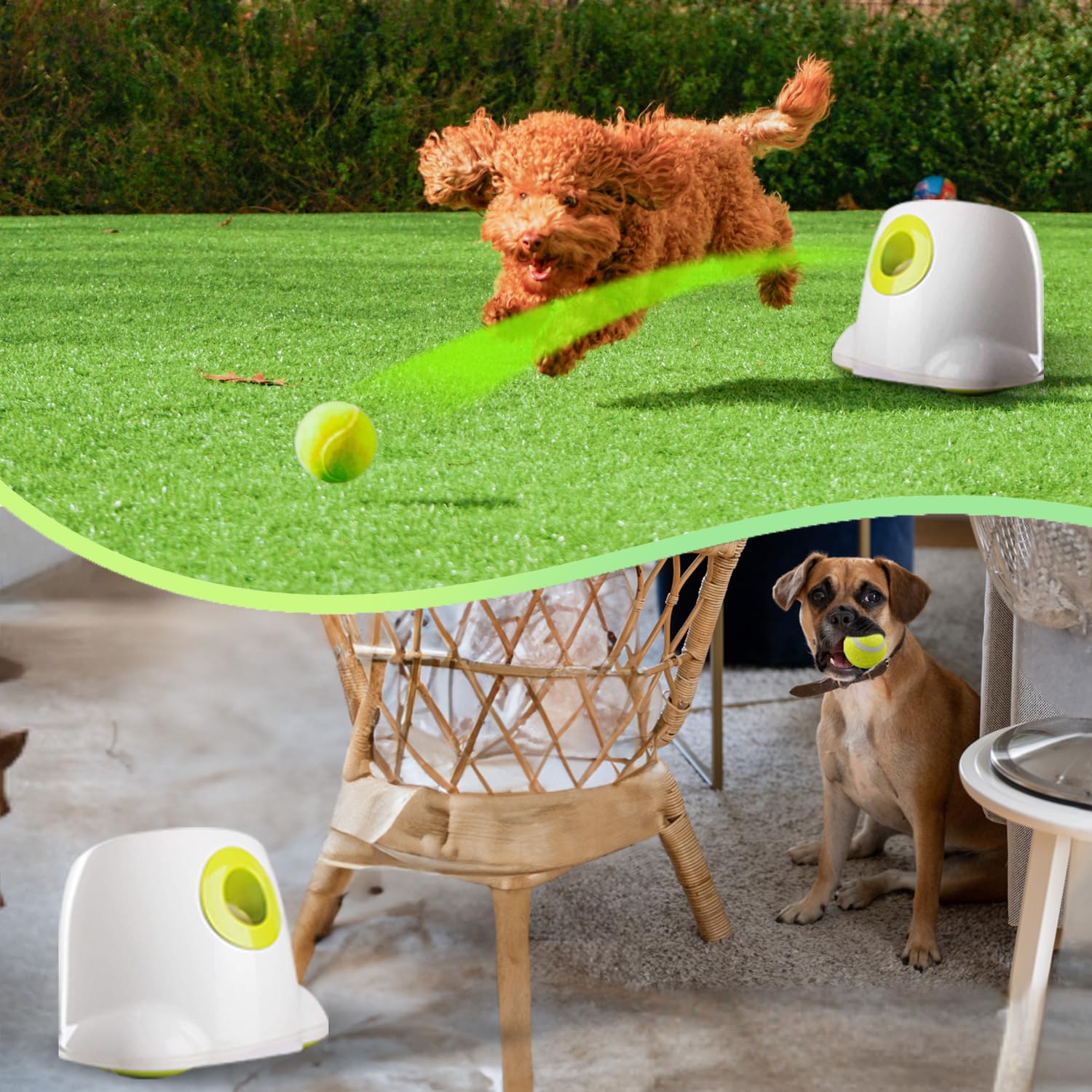 ALL FOR PAWS AFP Automatic Ball Launcher for Dogs - Interactive Fetch Machine, 3 Balls Included, White, For Small & Medium Dogs