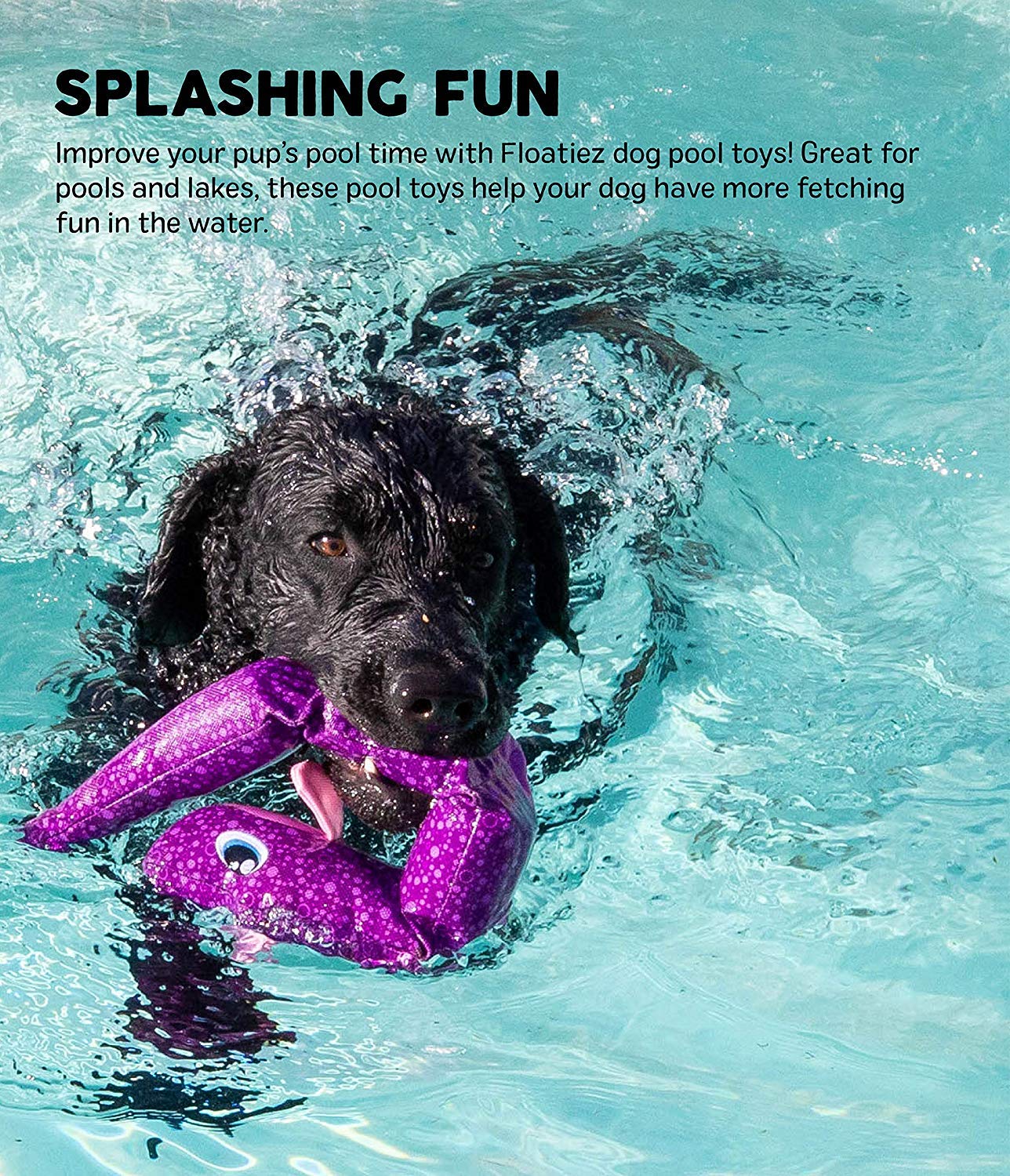 Outward Hound Floatiez Clownfish Interactive Dog Toy for Small Dogs - 1 Count, Floating Design, Fun Water Play, Clown Fish Color