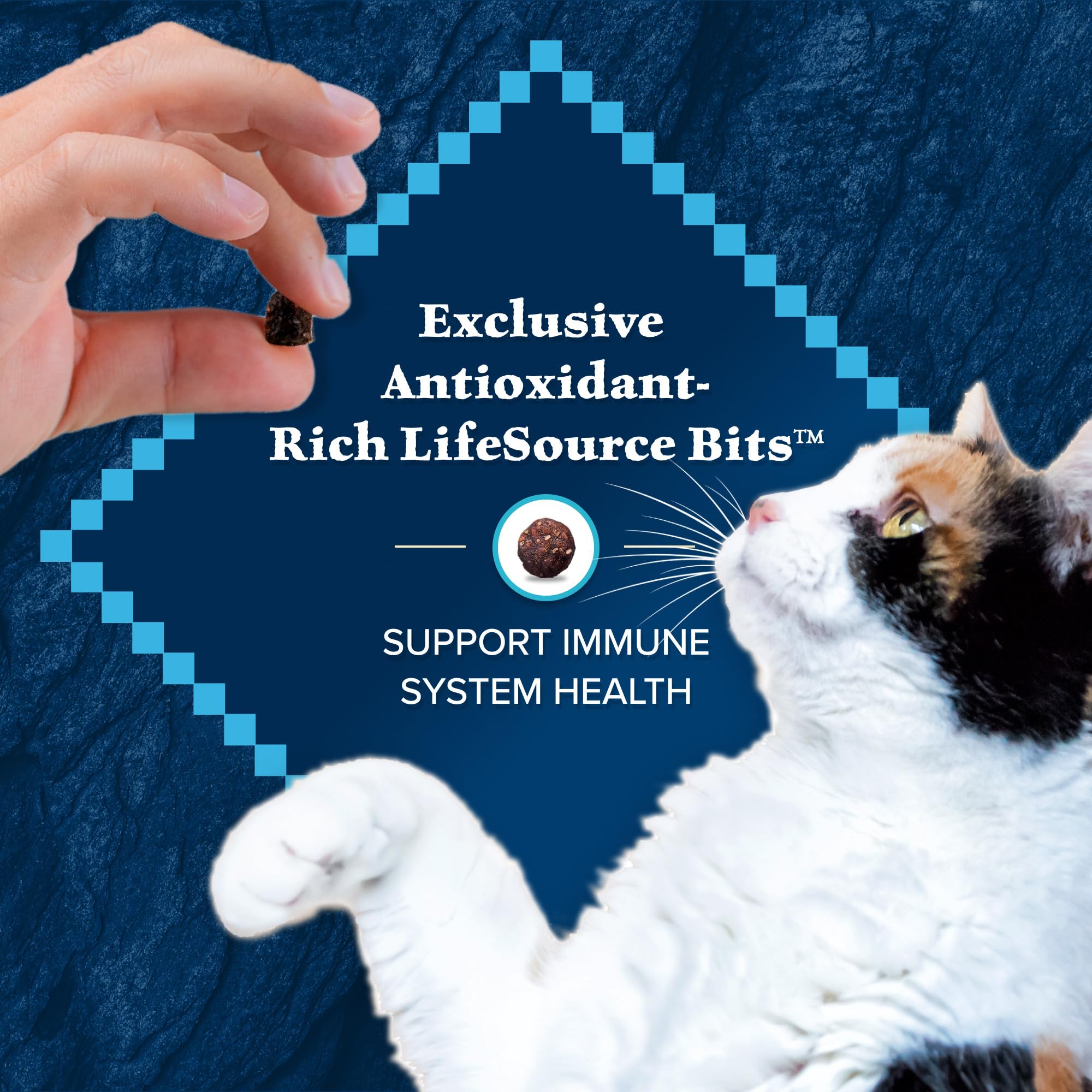 Blue Buffalo Wilderness Natural Adult Weight Management Dry Cat Food, High-Protein & Grain-Free Weight Control Formula, Chicken,