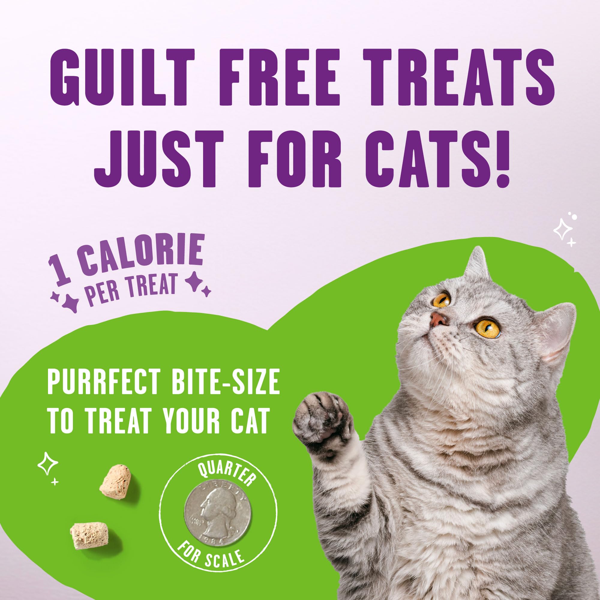 Stella & Chewys Meowfulls Freeze Dried Cat Treats - Turkey & Duck Recipe - Raw Protein with Probiotics & Salmon Oil - 1 Calorie