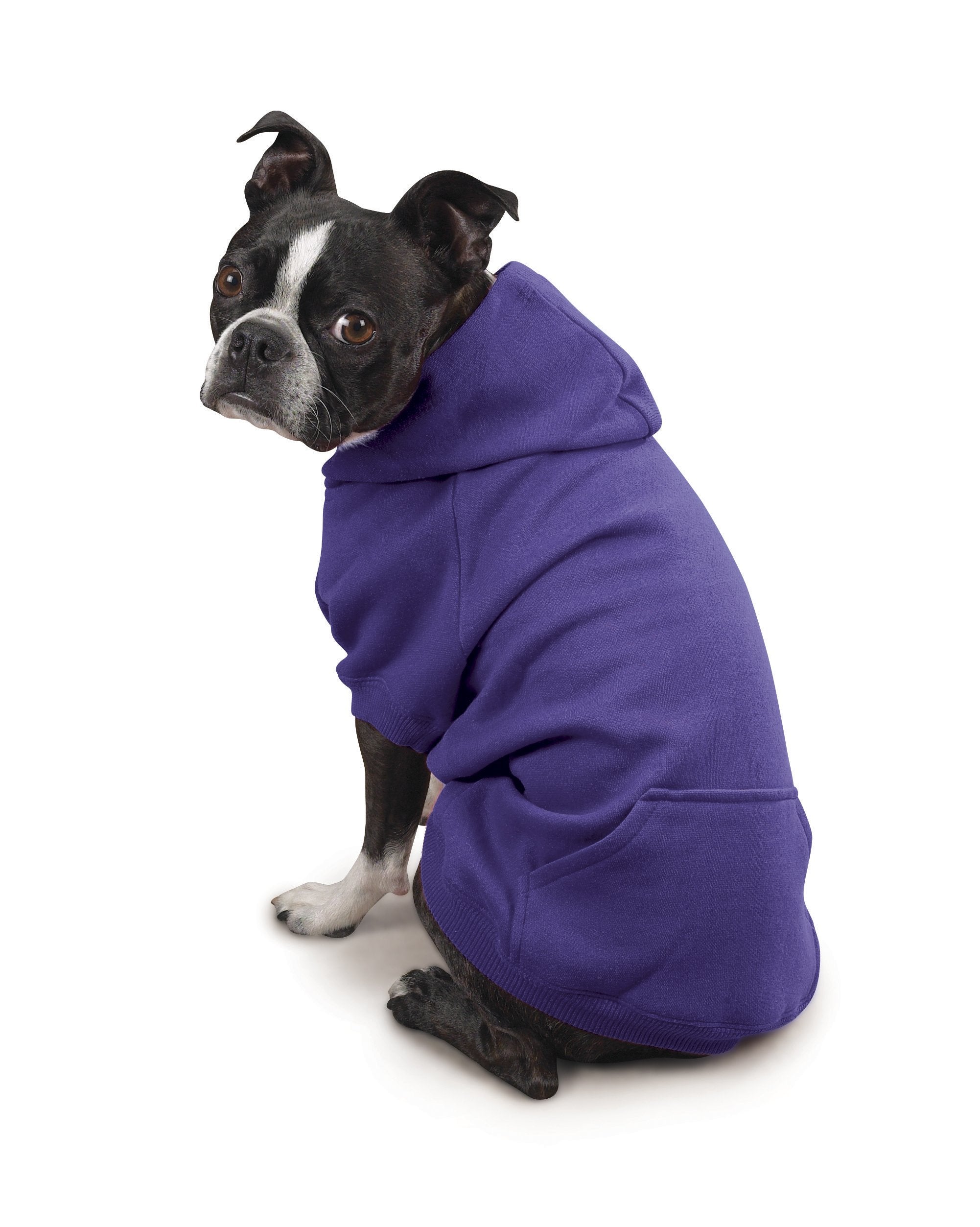 Zack & Zoey Basic Hoodie For Dogs, 24' X-Large, Ultra Violet