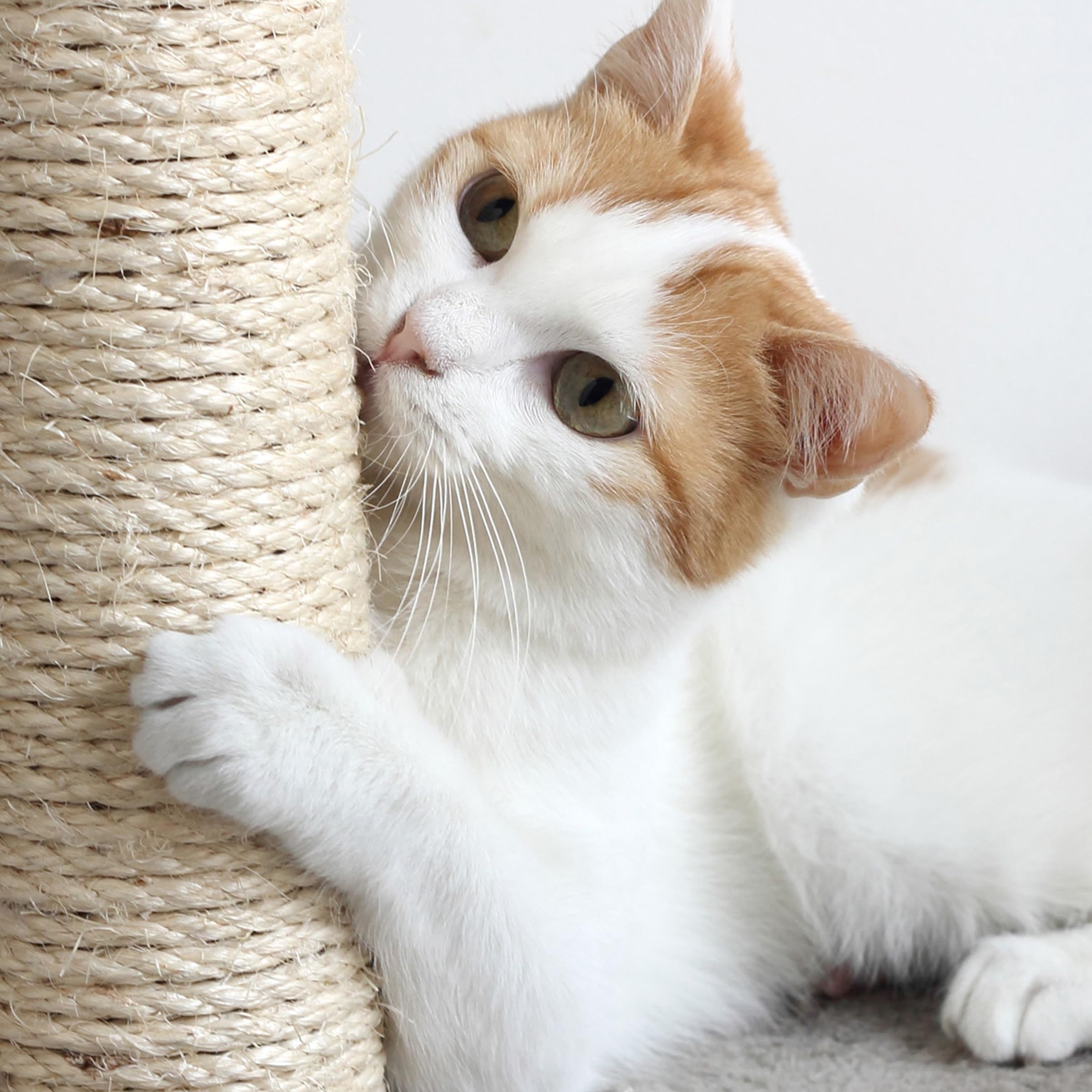 4-Tier Round Cat Tower - Large Cat Condo, Napping Perch, And 4 Sisal Rope Scratching Posts - Cat Tree For Indoor Cats By Petmake