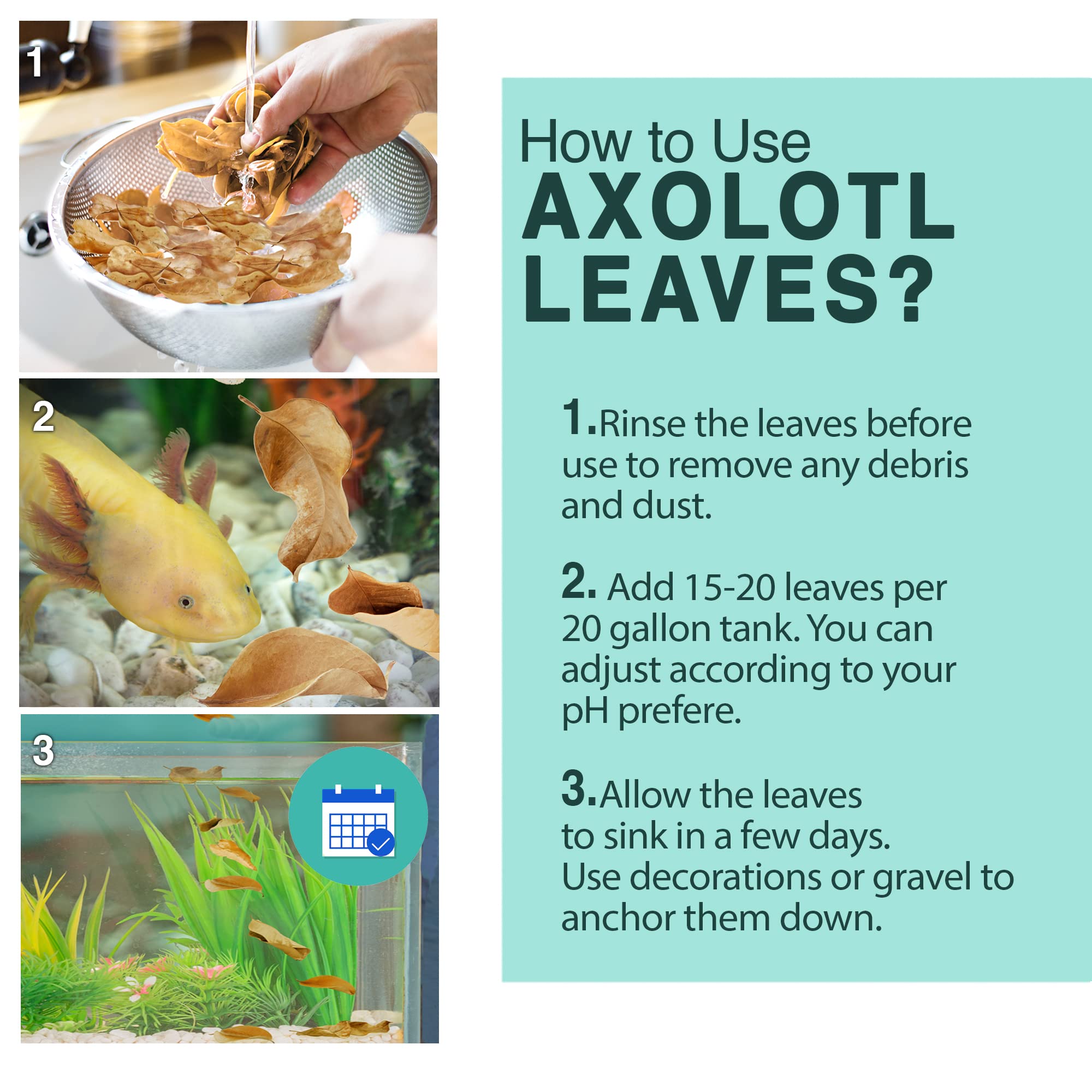 SunGrow 10 Pack Axolotl Indian Almond Leaves for Aquarium, 8-Inches, Catappa Leaf Soothes Pets Slime Skin, Aquarium Water Condit