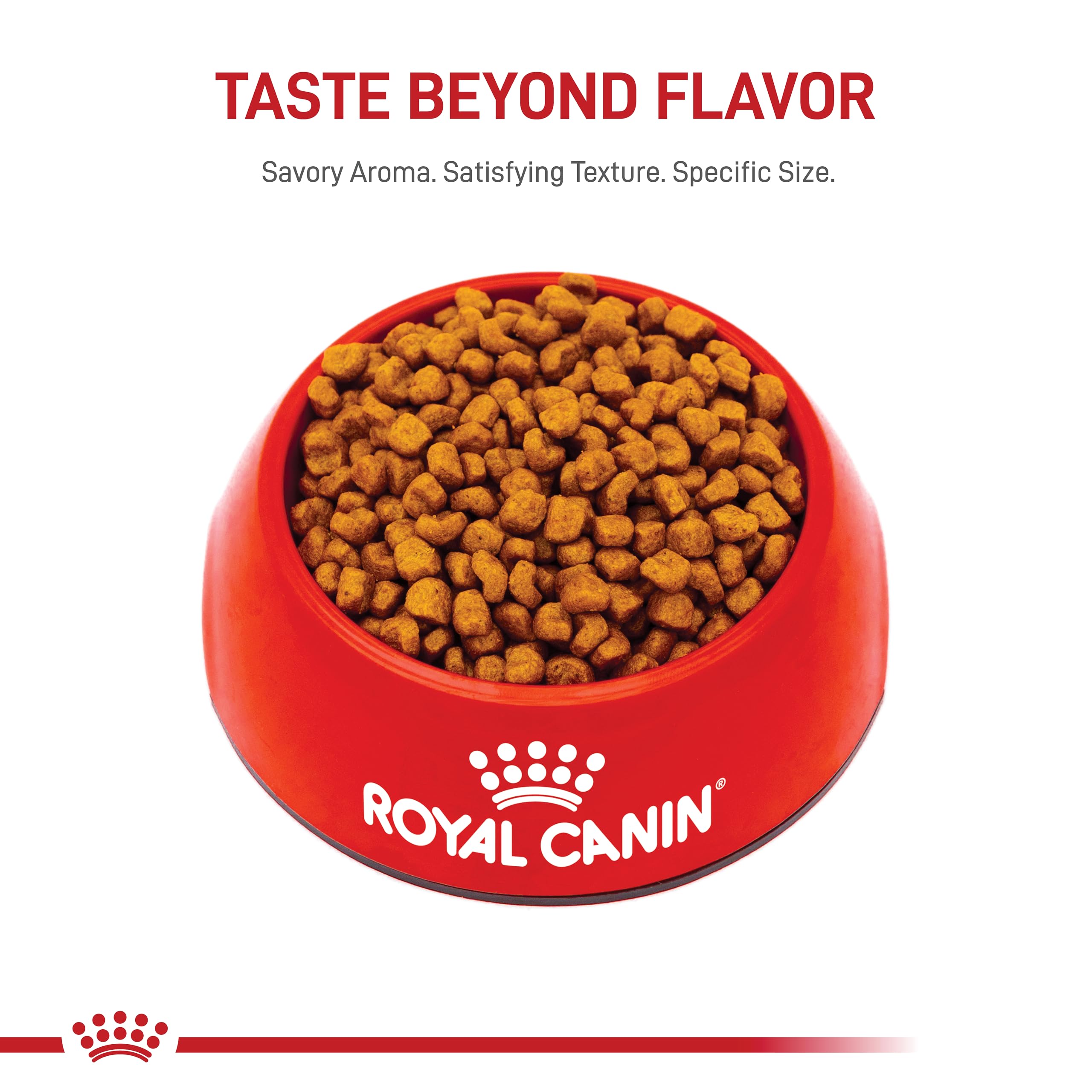 Royal Canin Breed Health Nutrition Shih Tzu Puppy Dry Dog Food, 2.5 lb