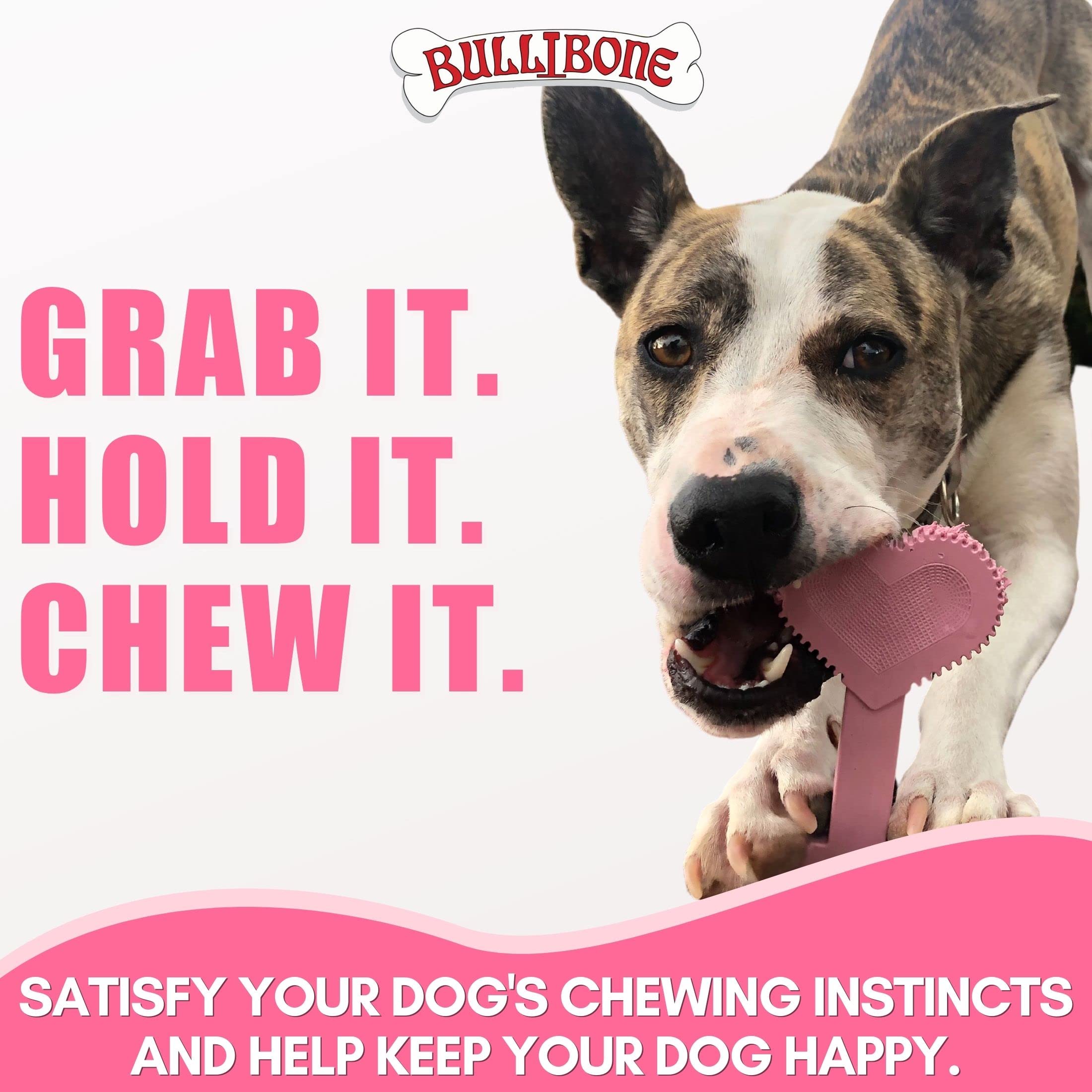 Bullibone Nylon Dog Chew Toy - Improves Dental Hygiene, Small Size, Peppermint Flavor