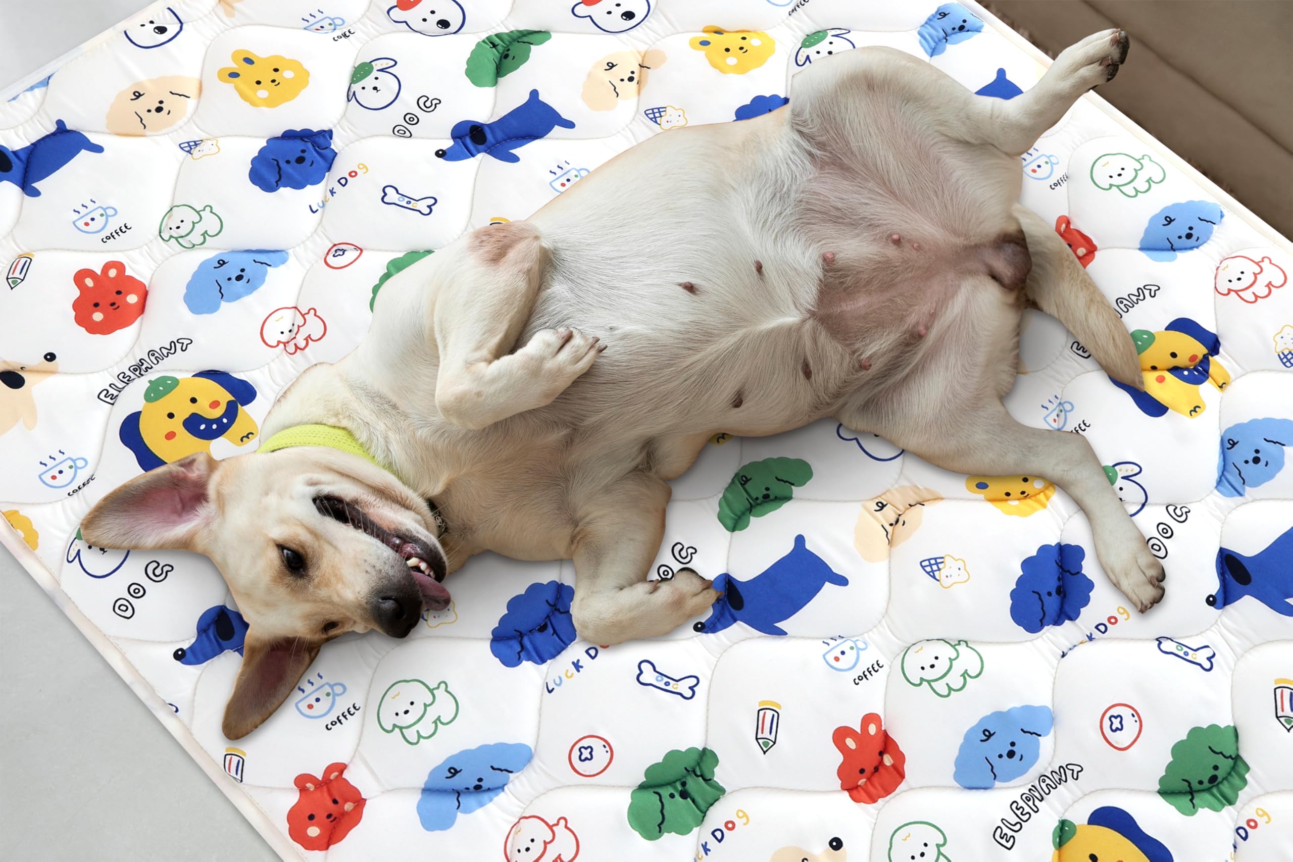 Washable Dog Crate Mat, Ultra Soft Dog Bed Mat for Sleeping with Anti-Slip Bottom for Large Medium Small Dogs Breeds (52'' X 28'