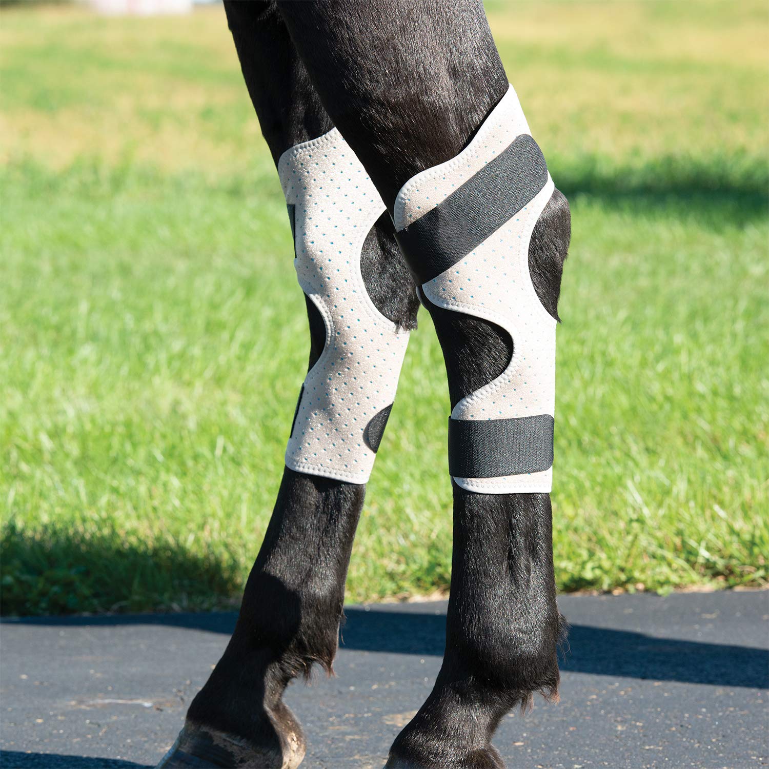 Weaver Leather CoolAid Equine Icing and Cooling Hock Wraps