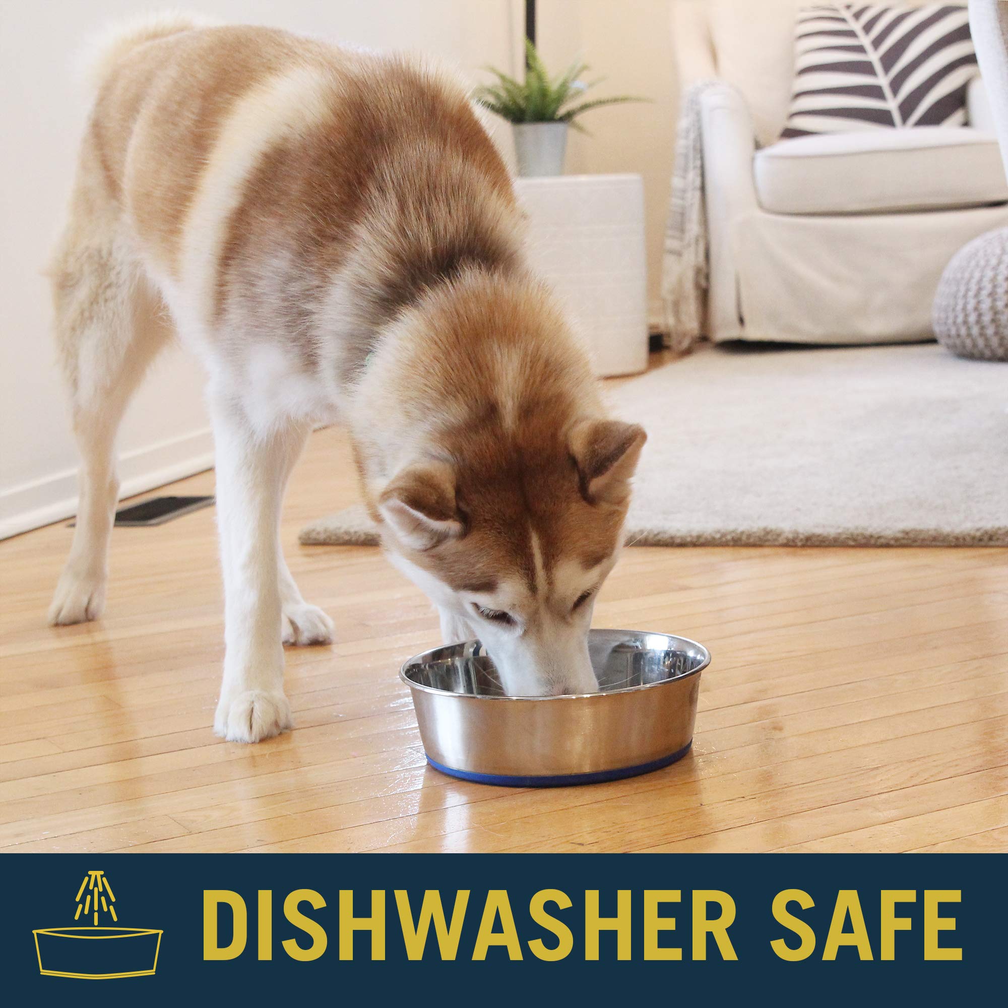 Durapet Stainless Steel Bowl