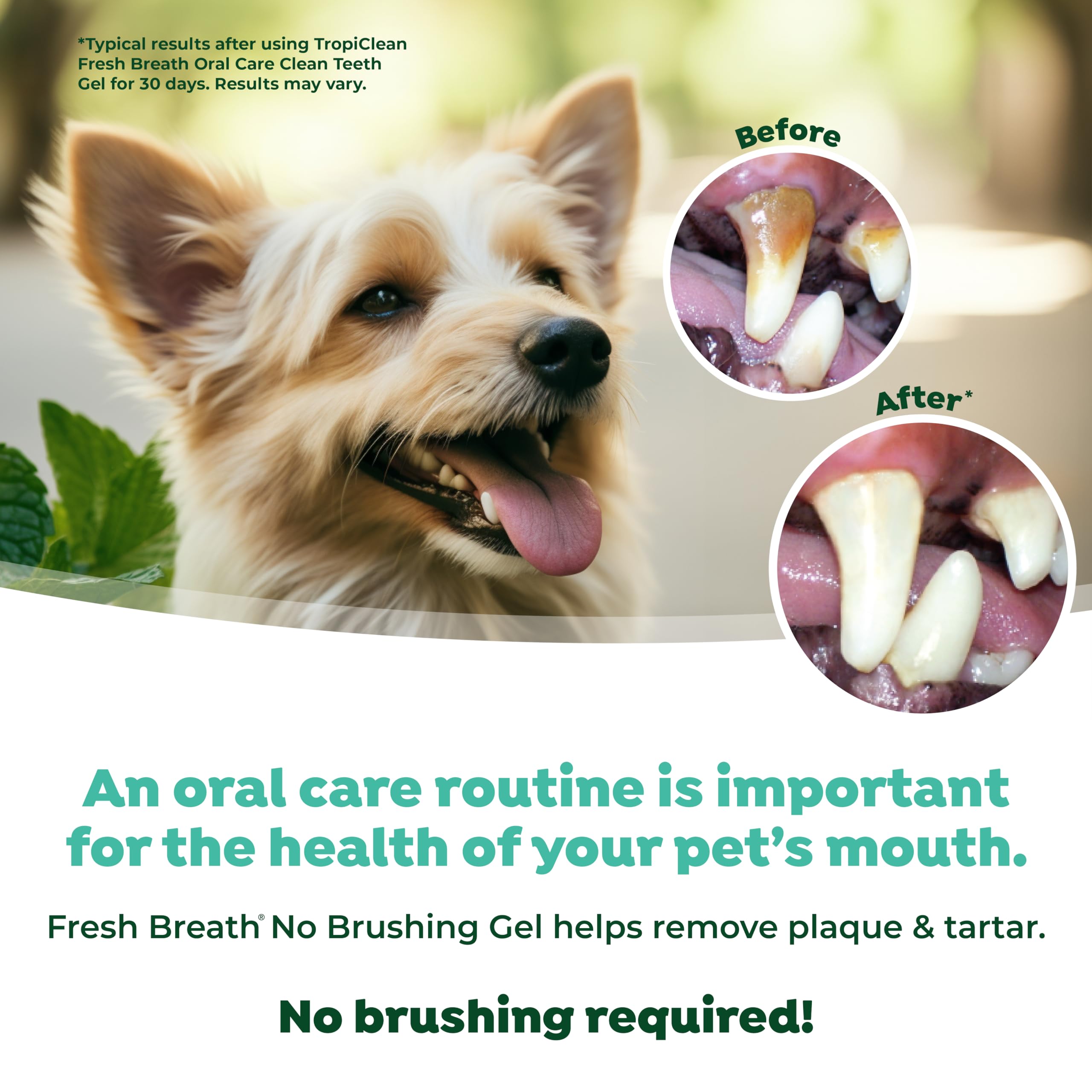 TropiClean Fresh Breath Dog Toothpaste for Teeth Cleaning, Breath Freshener, Easy to Use Plaque & Tartar Remover Gel, No Toothbr