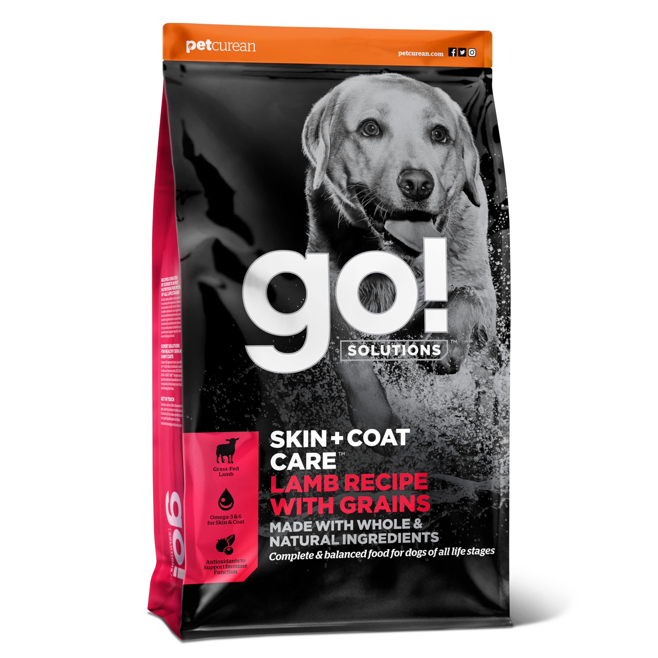 Go! Solutions Skin + Coat Care Lamb Dry Dog Food with Grains, Chicken-Free, Healthy Kibble with Omega-3s & 6s for Soft, Shiny Fu