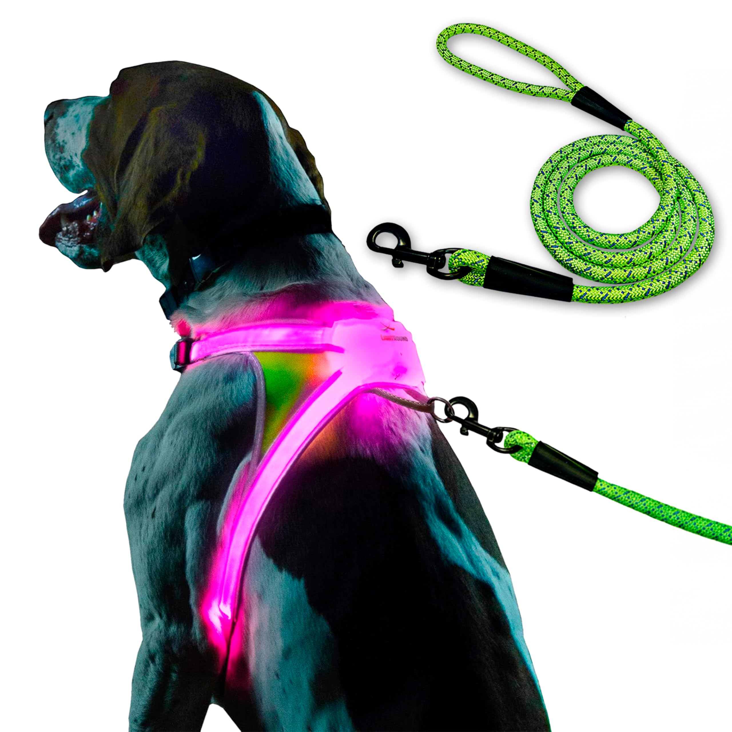 Noxgear LightHound (Large) + High-Visibility Dog Leash - Illuminated and Reflective Harness for Dogs Including Multicolored LED 