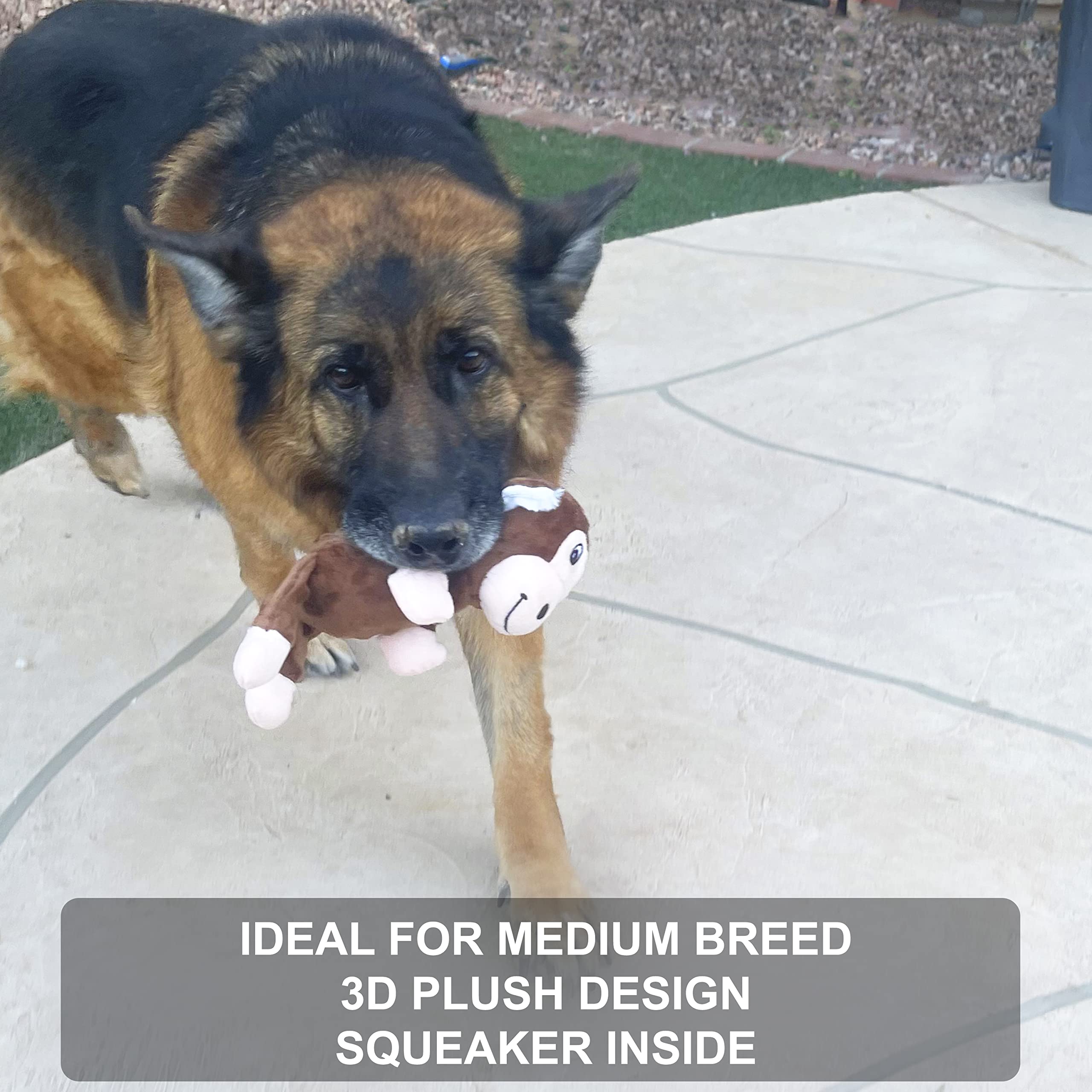 Jalousie Multipack Dog Squeaky Toys Strong Almost Indestructible, With Added Liner For Longer Play Dog Chew Toys (Medium Breeds