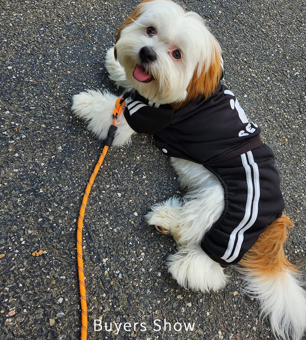 Otunrues Dog Hoodie, Dog Clothes Pullover 4 Legs Dog Jumpsuit Fleece Sweatshirt Security Patterns Dog Outfit Doggie Winter Coat Puppy Hoodied For Small Medium Large Dogs Cats Apparel(Black, Xxs)
