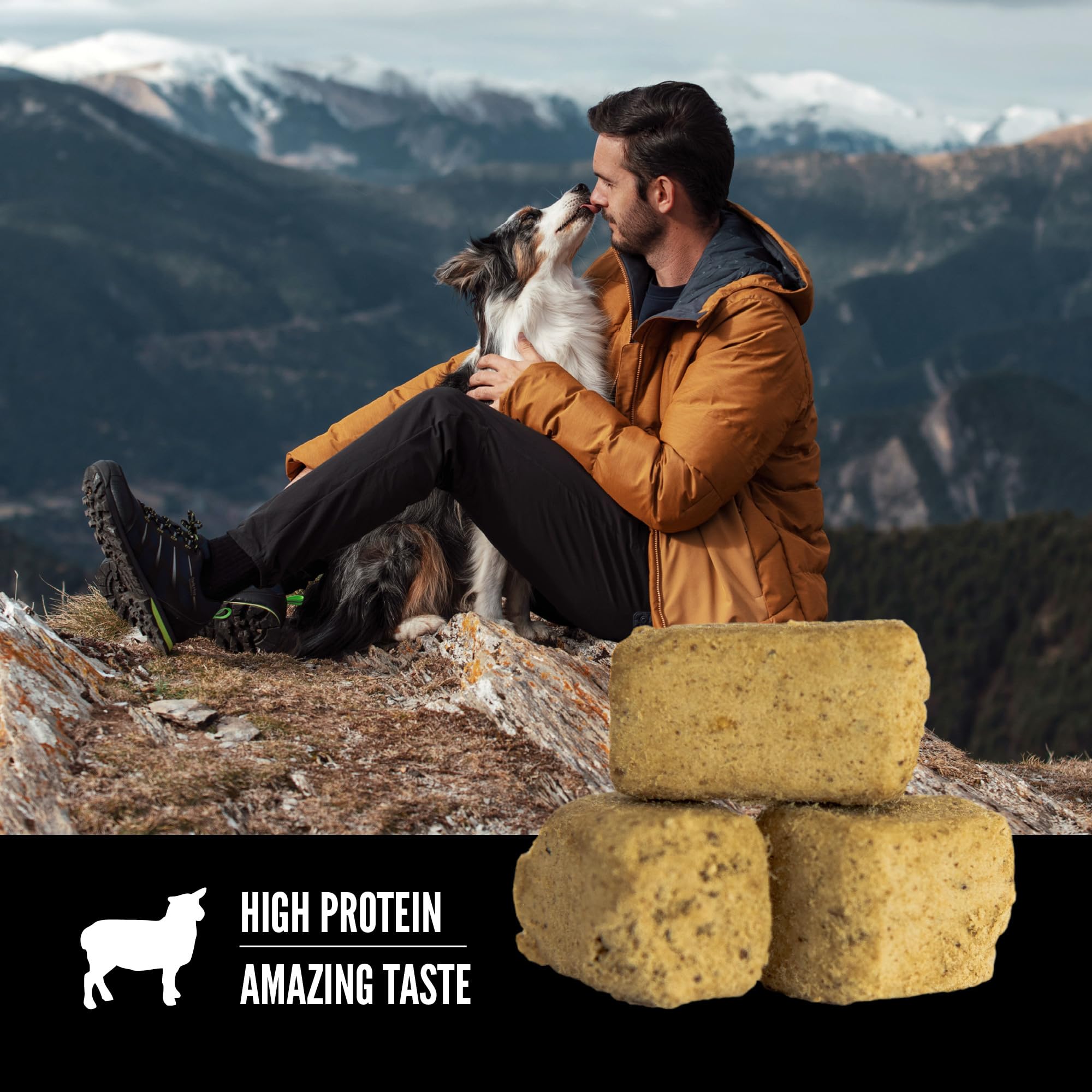 ORIJEN Freeze Dried Lamb Recipe Dog Treats, WholePrey Ingredients, 3.25oz
