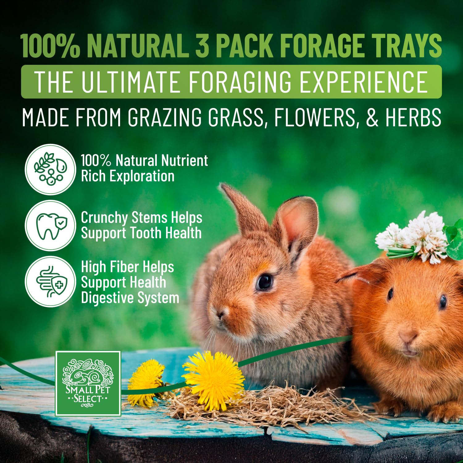 Small Pet Select Forage Tray Bundle, 3 Pack of Foraging Trays for Rabbit, Guinea Pig, Hamster or Bunny - Natural Treats, Dandeli