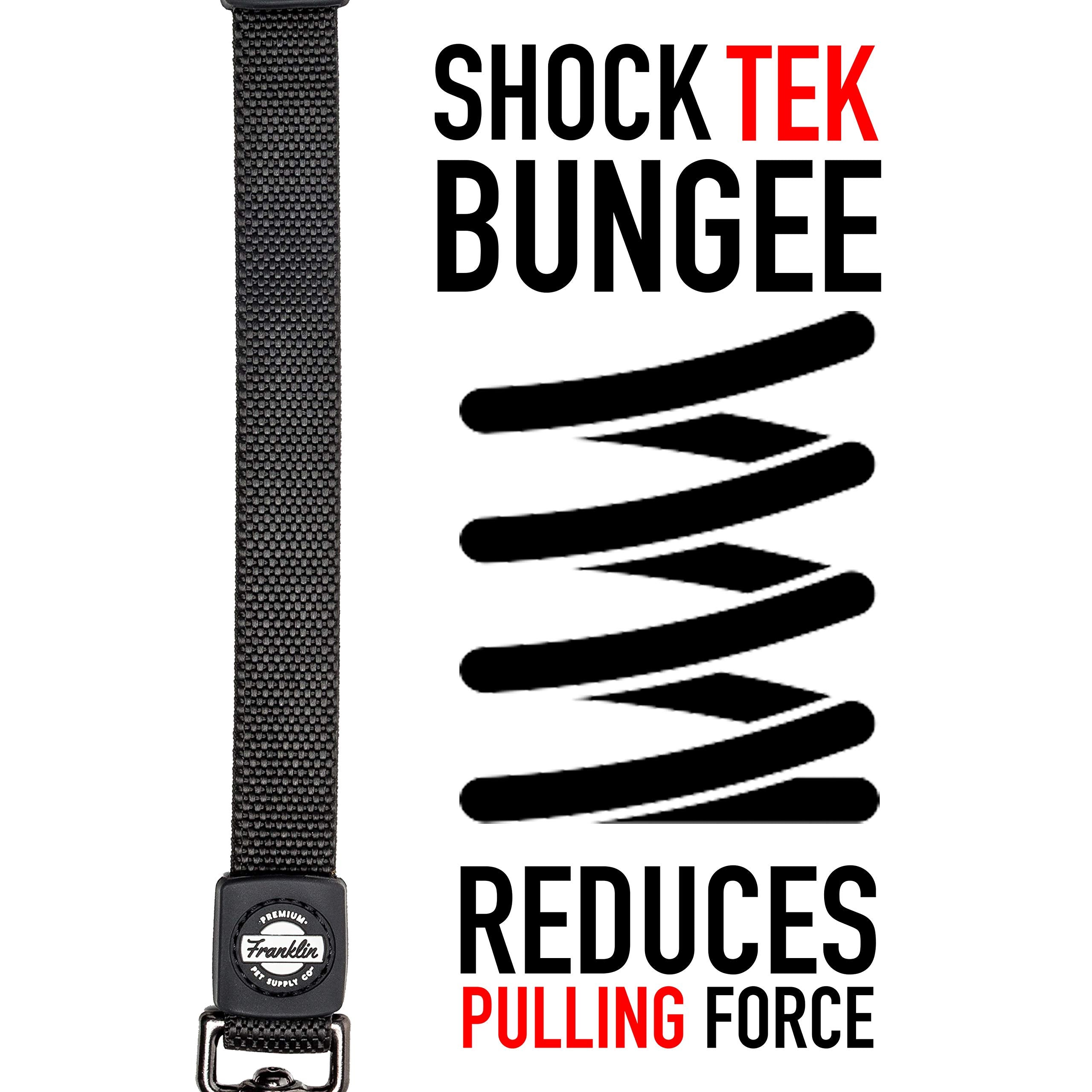 Franklin Sports Pet Supply - Nylon Dog Leash - Comfort - Neoprene Handles- Shok-Tek Bungee System - 4 Foot - Dog Training - Walking