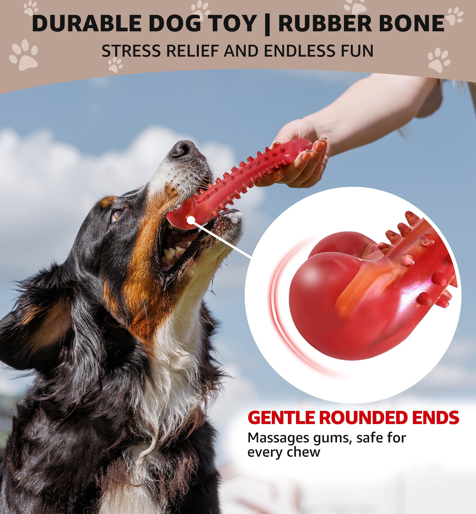 Iptpas Dog Chew Toy For Aggressive Chewers, Tough Natural Rubber Bone With Irresistible Beef Flavor, Long-Lasting Teeth Cleaning