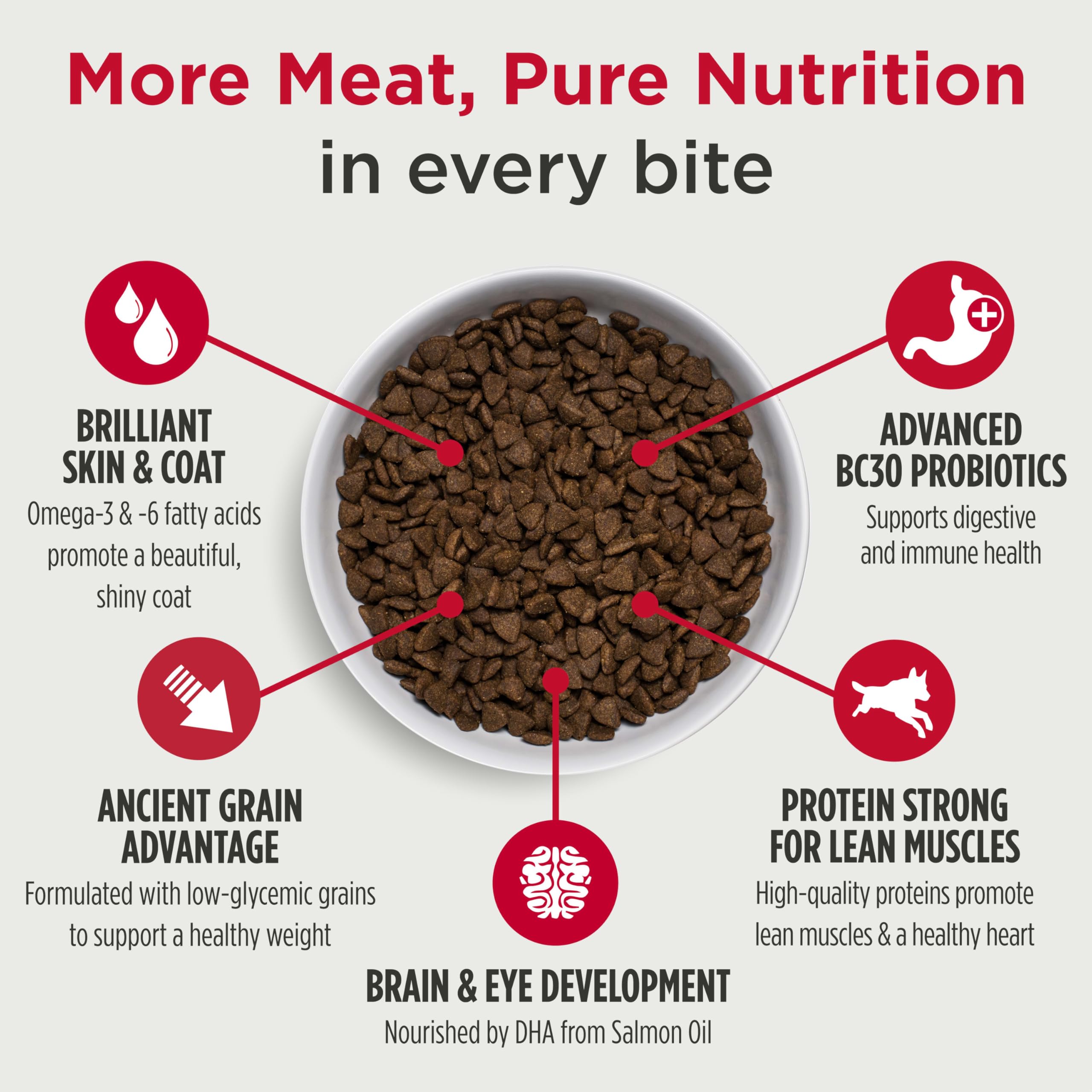 Nulo Frontrunner Ancient Grains High-Protein Puppy Food, Chicken, Oats, & Turkey Recipe- Natural Dry Puppy Food with Probiotics,