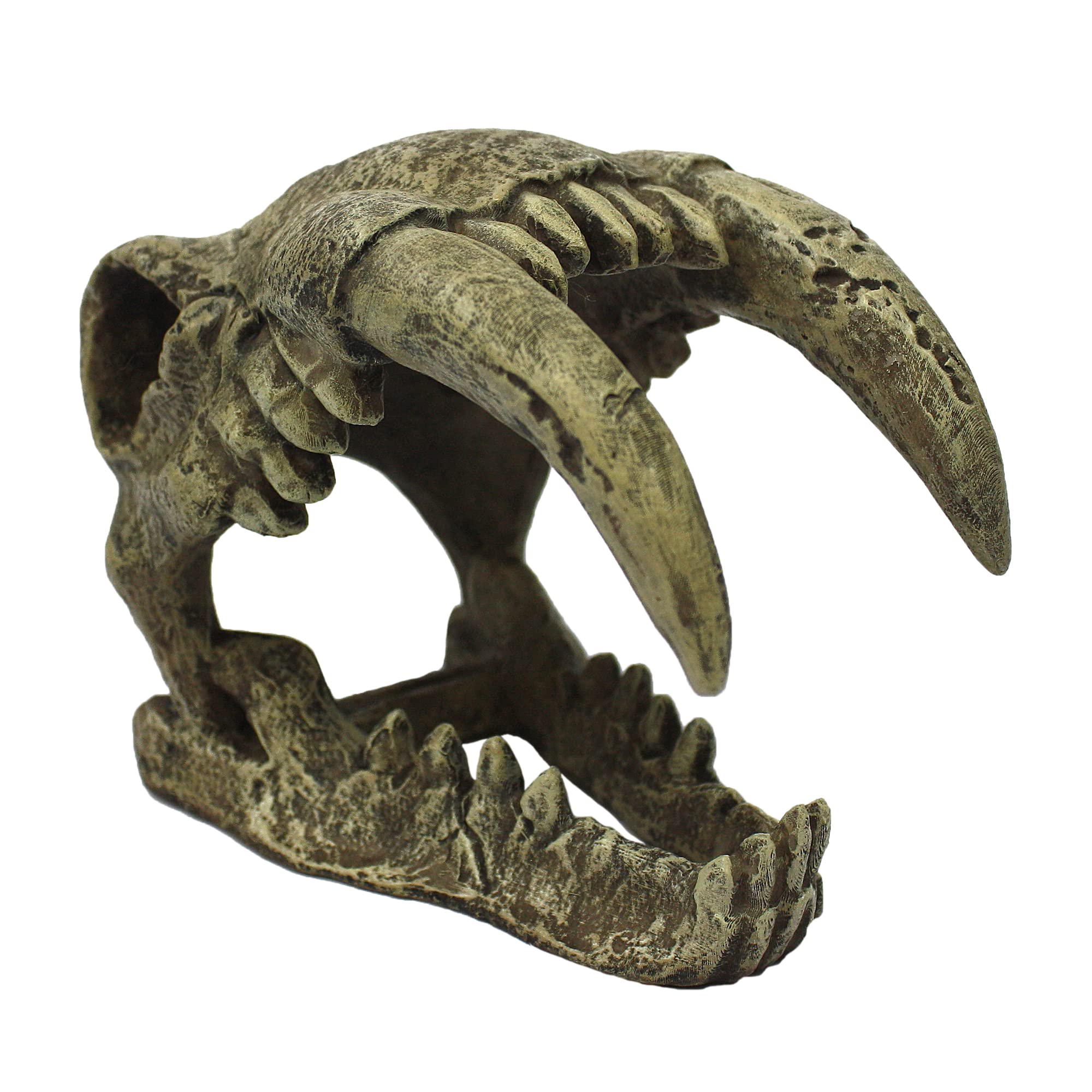Komodo Saber Tooth Skull Terrarium Decoration