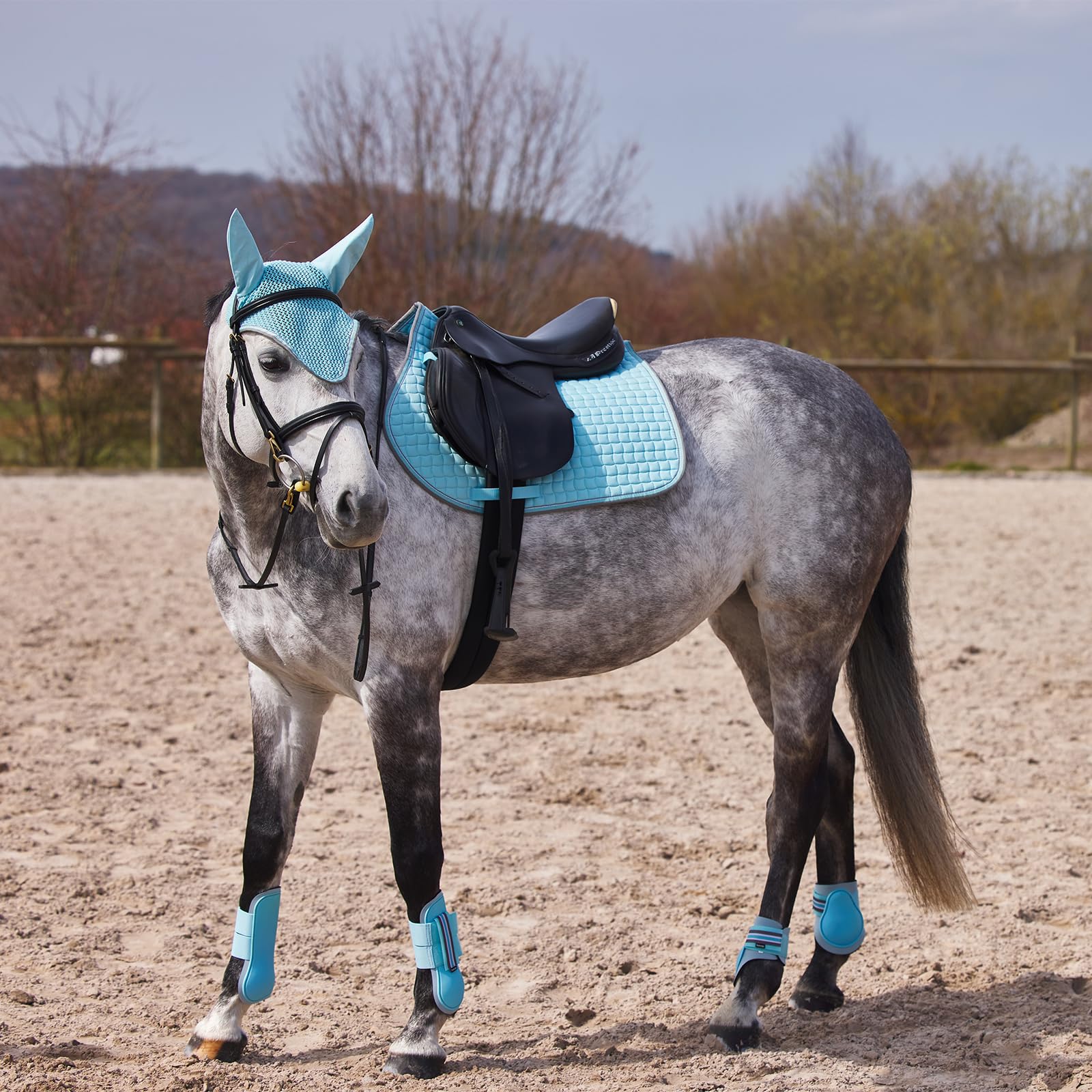 HORZE Adepto Fetlock Boots - Canal Blue - Horse