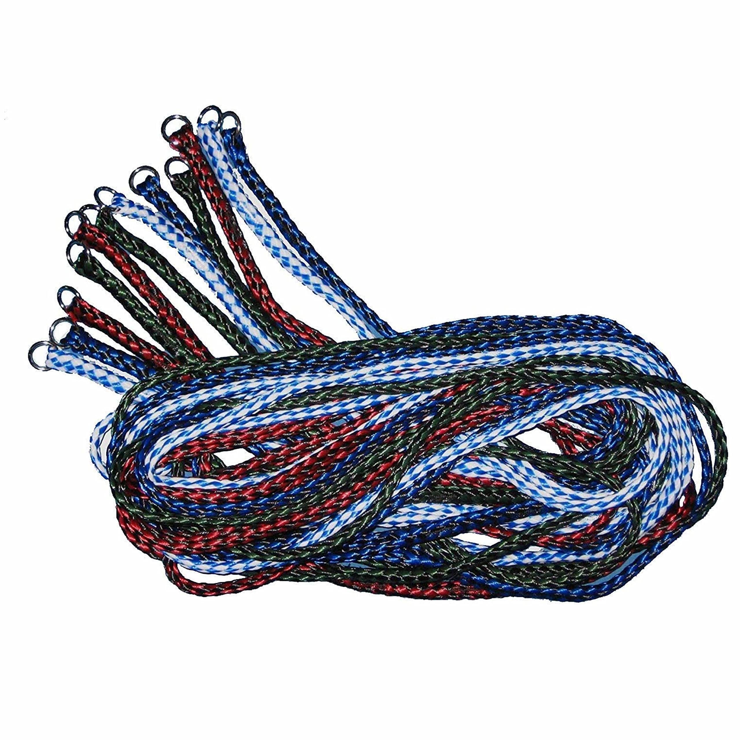 Downtown Pet Supply Braided Poly Slip Lead Dog Leash, 96 Pack, 5' Long - Universal Dog Slip Lead With Metal O Ring - Durable For